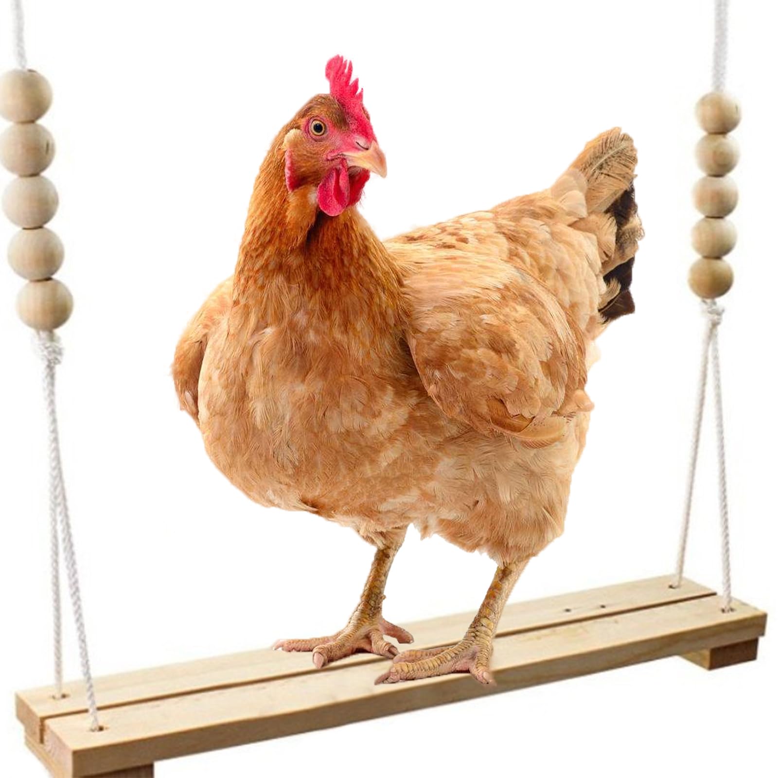 Lzydkh Wood Chicken Swing, En Chicken Toys Durable Chicken Coop Accessories Chickens Accessories For Hens Hanging Swing Perch Hanging Toy For Chickens Parrot Trainning