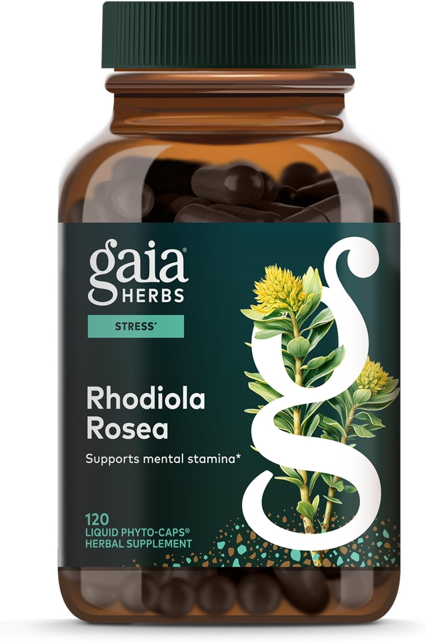 Gaia Herbs Rhodiola Rosea - Stress Support Supplement Traditionally for Supporting Healthy Stamina & Endurance* - with Siberian Rhodiola Root Extract - 120 Vegan Liquid Phyto-Caps (120 Servings)