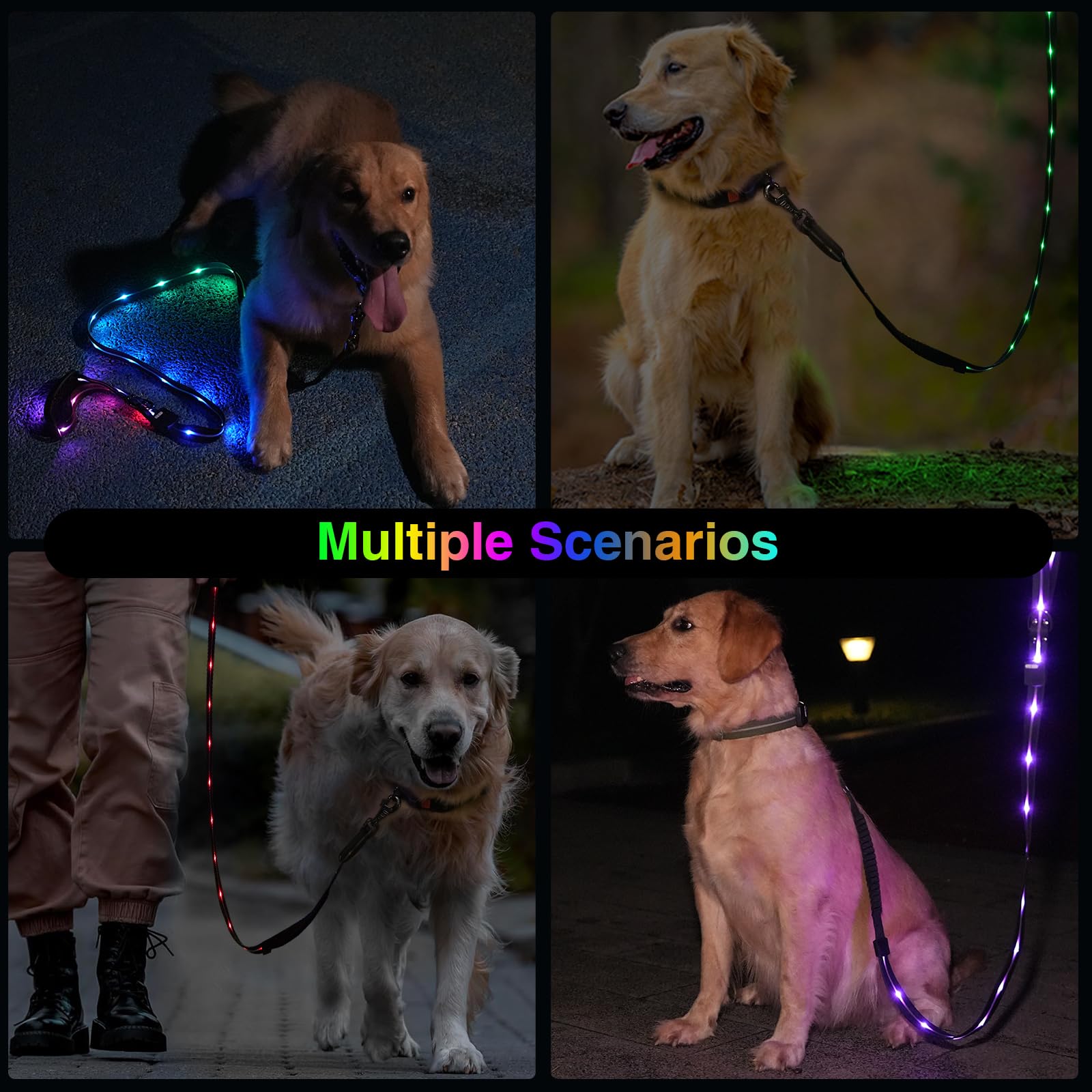 Correa LED para perro