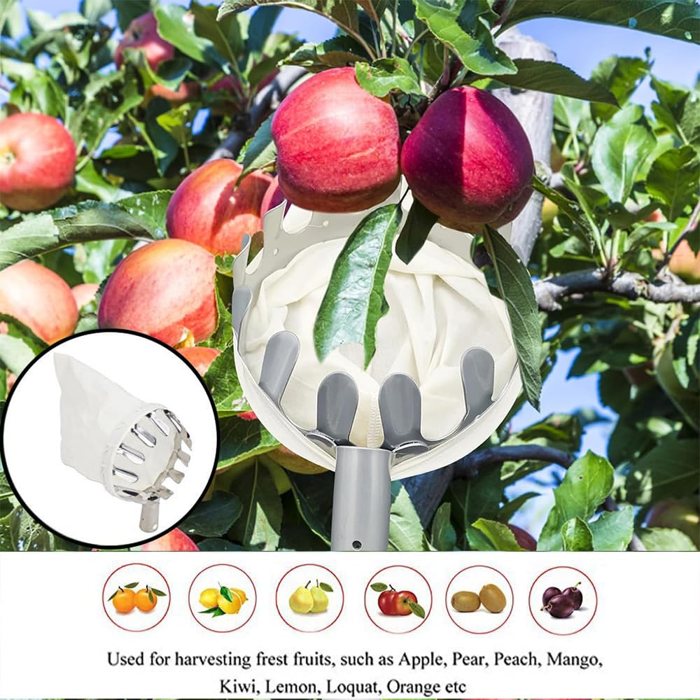 HEYIDAMAI Raccogli Frutta con Palo in Acciaio Inox Leggero 4.2 M,Raccogli Fichi,Raccogli Fichi d'india,Attrezzo Raccogli Frutta,Raccoglifrutta Regolabile in Altezza,raccogli Mele