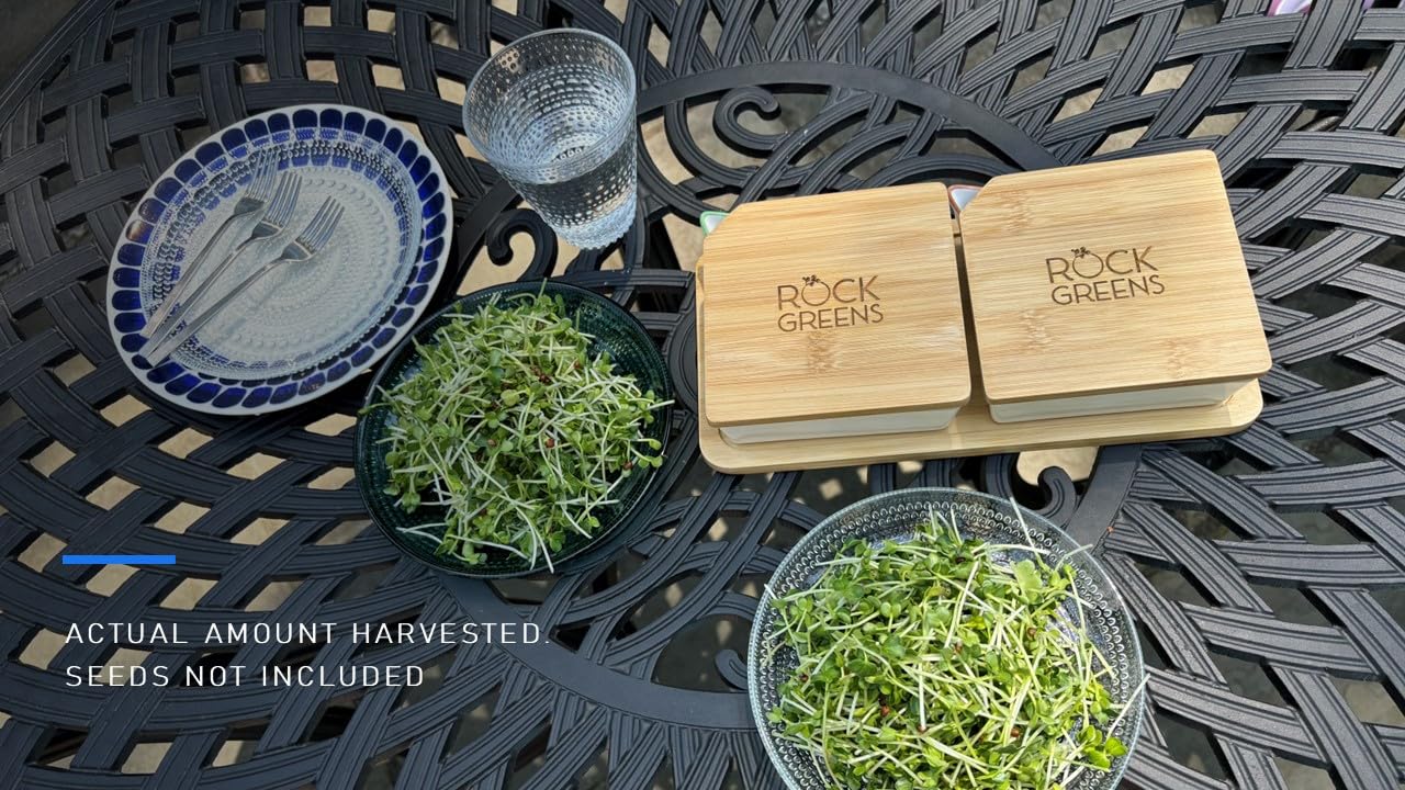 Zestaw do uprawy Microgreens. Łatwy w użyciu, samonawadniający. Zawiera dwie specjalnie zaprojektowane tace ceramiczne oznaczone kolorami z pasującymi pokrywkami, aby stworzyć optymalne przytulne