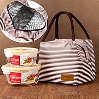 Vista 5 de Bolsa de almuerzo plegable para el almuerzo, 4 unidades, reutilizable, contenedor aislado, bolsa de picnic para hombres y mujeres