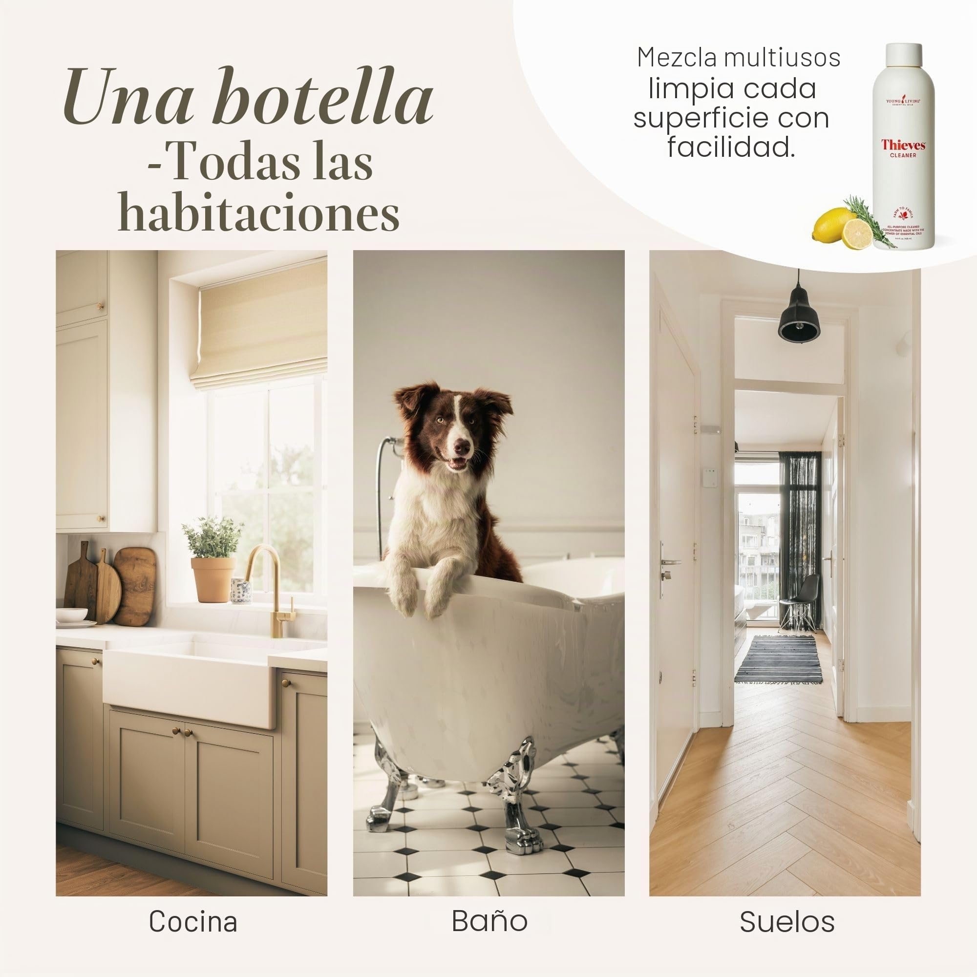 Los ladrones de Young Living – Limpiador hogar 14,4 120 ml