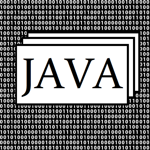 Computer Programmer Learn JAVA Practice