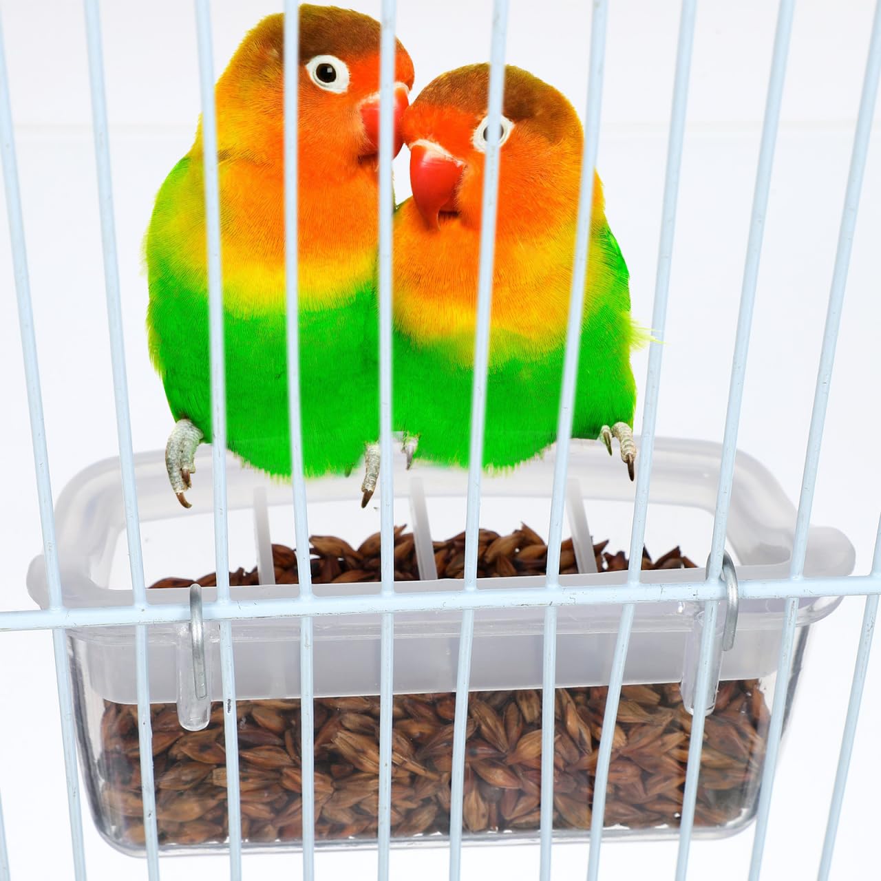 POPETPOP Bols à suspendre pour cage à oiseaux - Mangeoire à suspendre pour oiseaux - Bol d'alimentation en plastique - Distributeur d'eau - Bol de nourriture pour oiseaux - Accessoires de cage pour