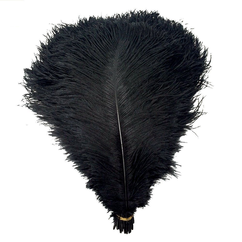 KOLIGHT® 50pcs 10''~12''(25~30cm) Natural Ostrich Feathers for DIY Home Wedding Party Office Decoration (Black)
