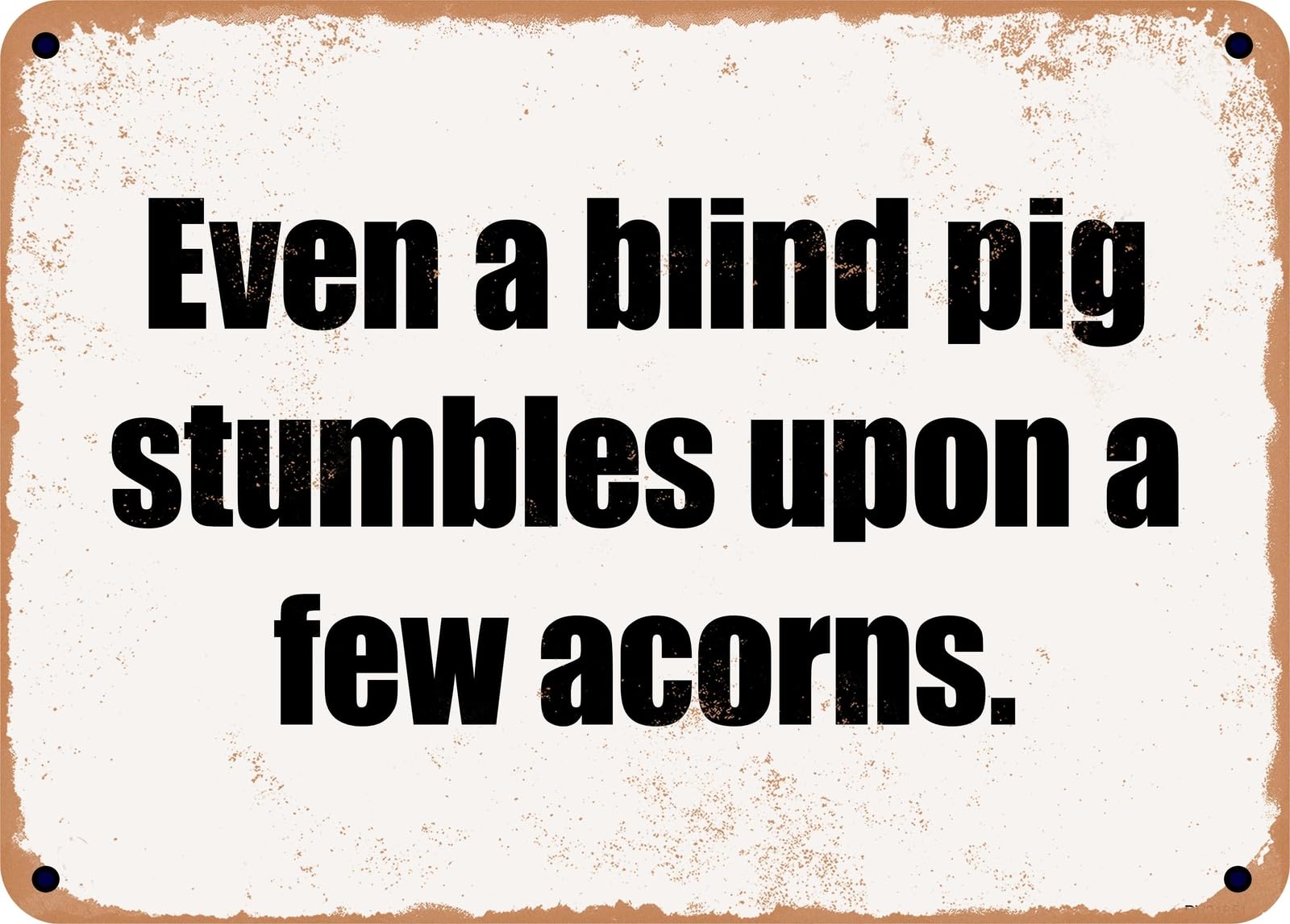 Miaomansenstore Metal Sign - Even A Blind Pig Stumbles Upon A Few Acorns Home Decor