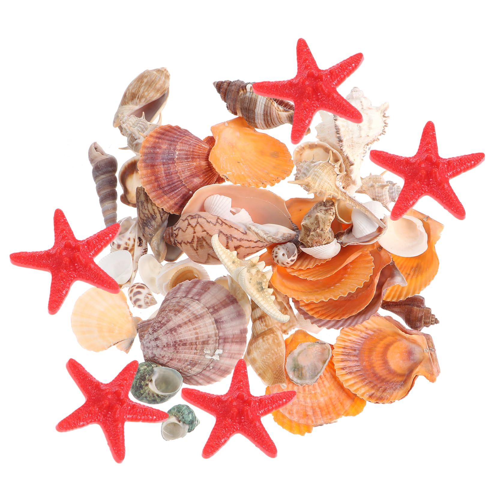 FUNOMOCYA 1Set Natural Shells Conchs for Decor Assorted Beach Shells for Aquariums Crafts Home Decoration for Nautical Tropical Themes