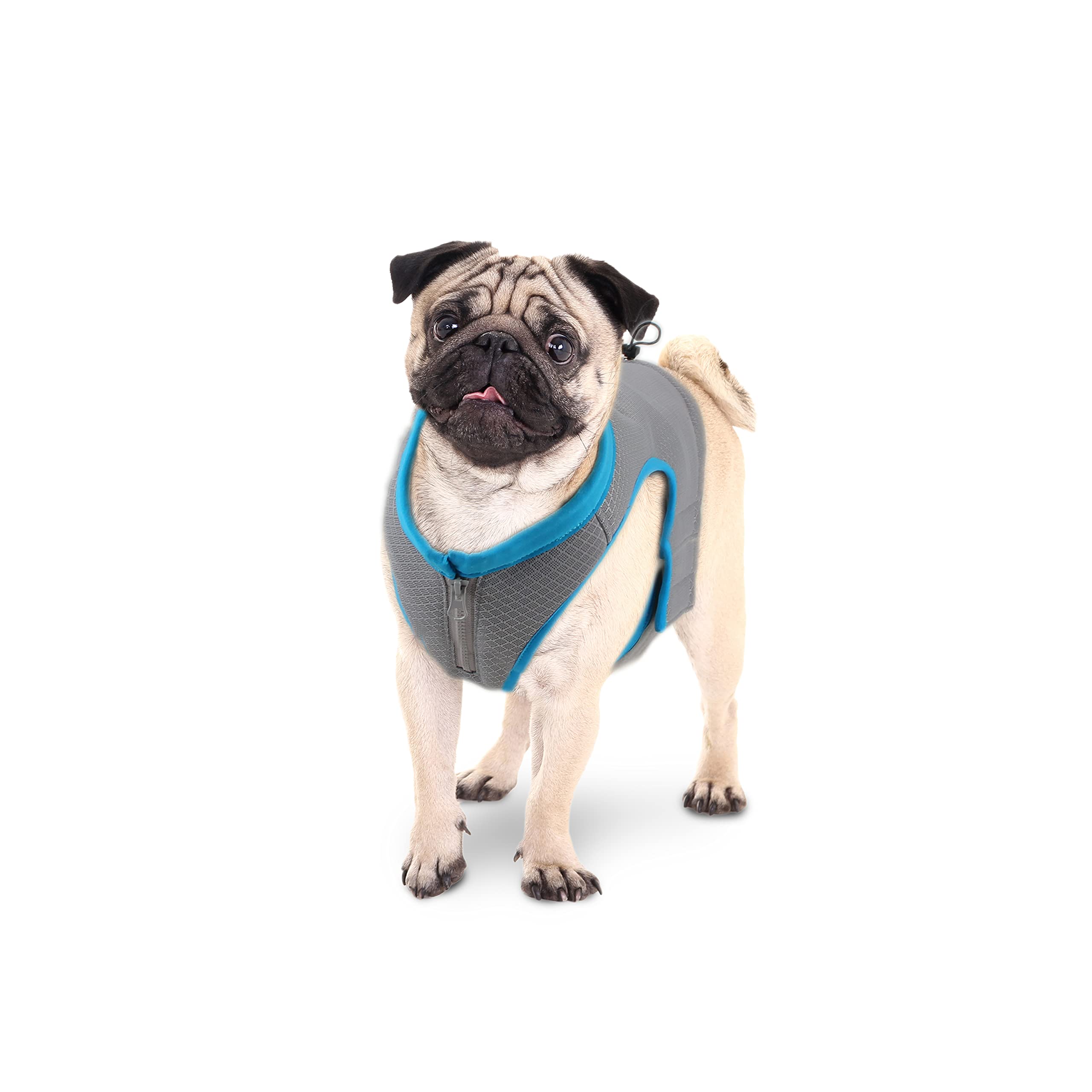 All For Paws Chill Out Gilet rafraîchissant d'été pour Chien Taille L