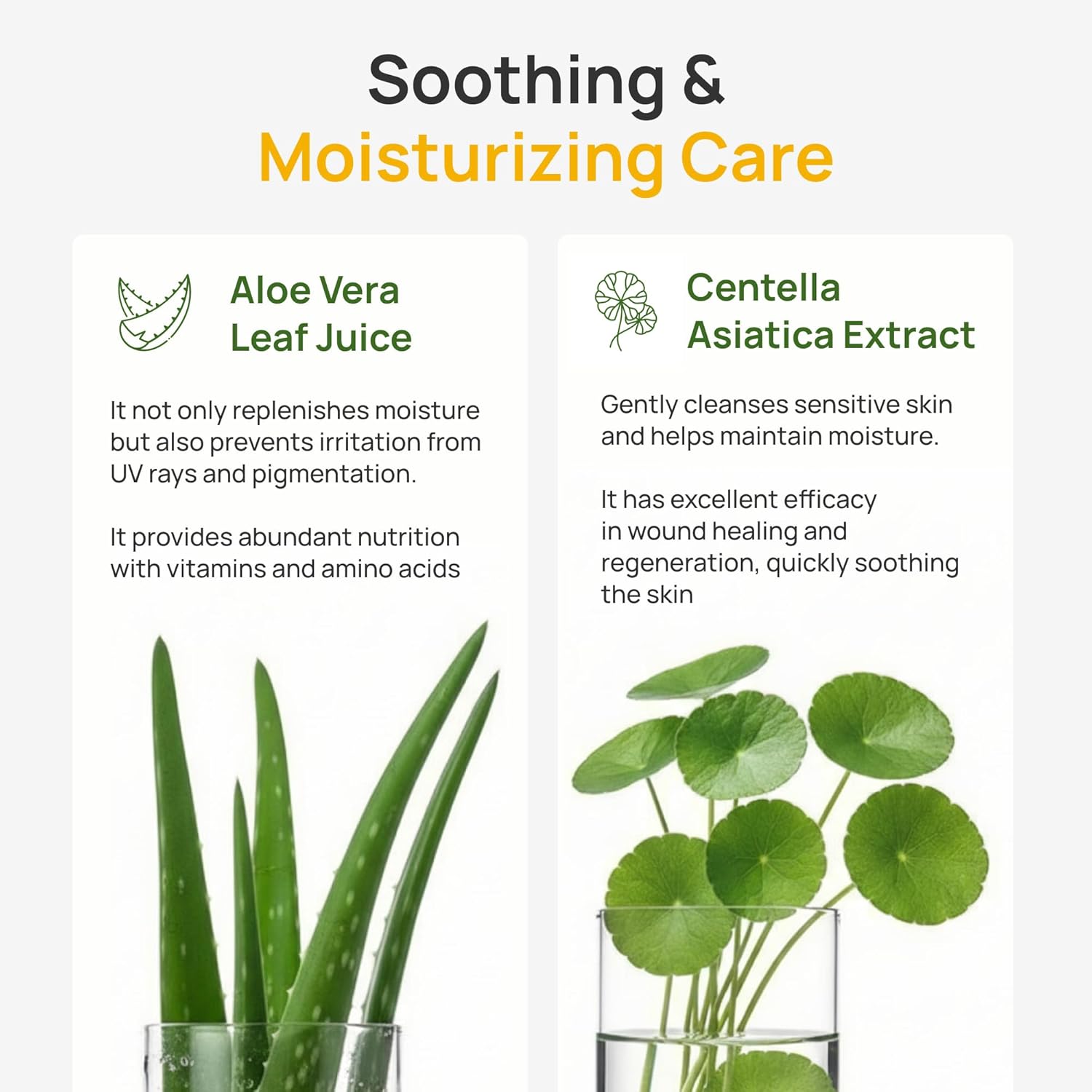 Bueno+ Pure Moonlight Rose Floral Cleanser | Anti-Aging Gentle Face Wash with Rose Petals for All Skin | Exfoliating and Moisturizing | Vegan Gel Rich in Antioxidantsl 5.03 fl.oz - Image 5