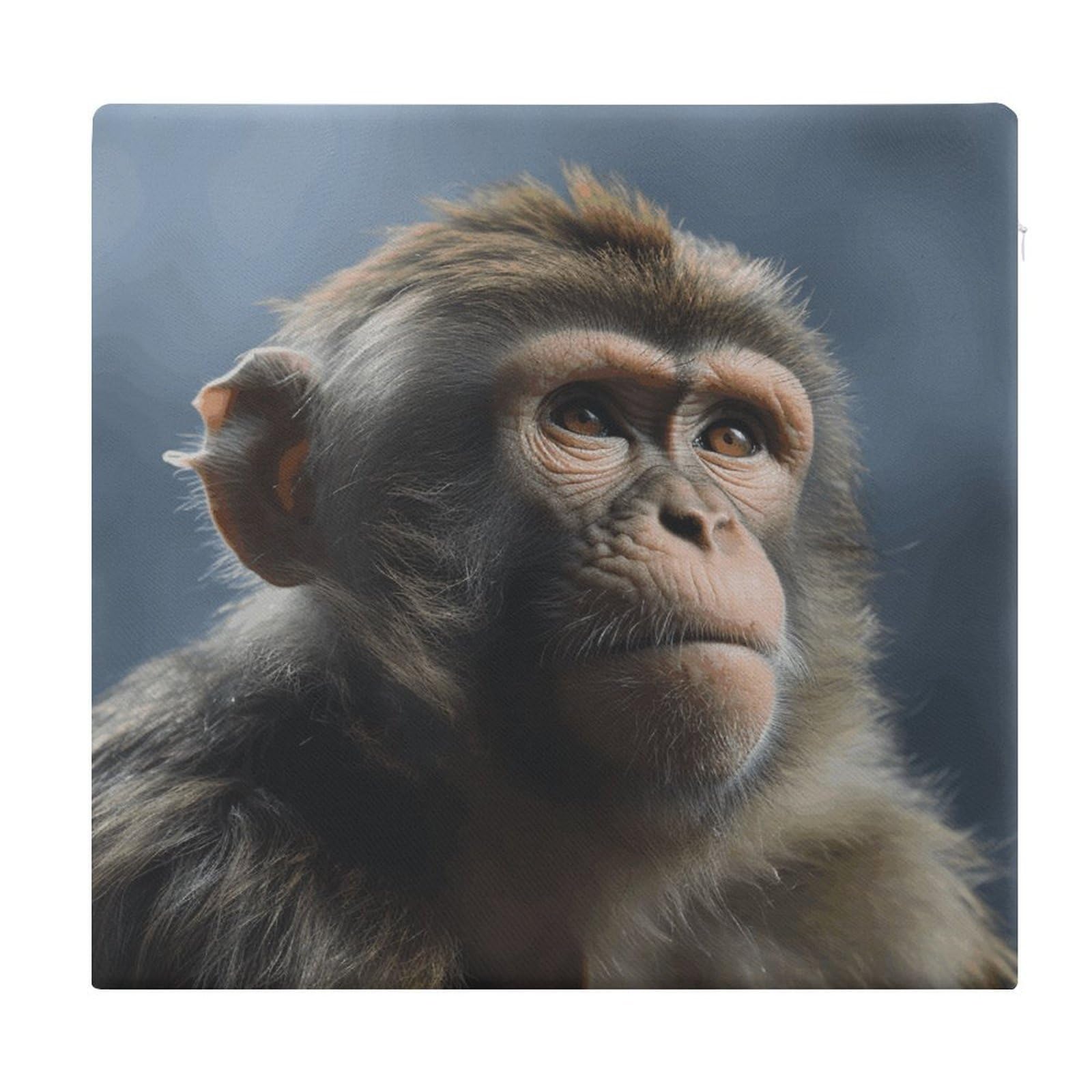 VstaDank Monkey Chair Cushion for Dining Chairs Breathable Square Chair Pads Non-Slip Seat Cushions Memory Foam Pad Floor Pillow for Meditation Or Yoga 13.8”x15”