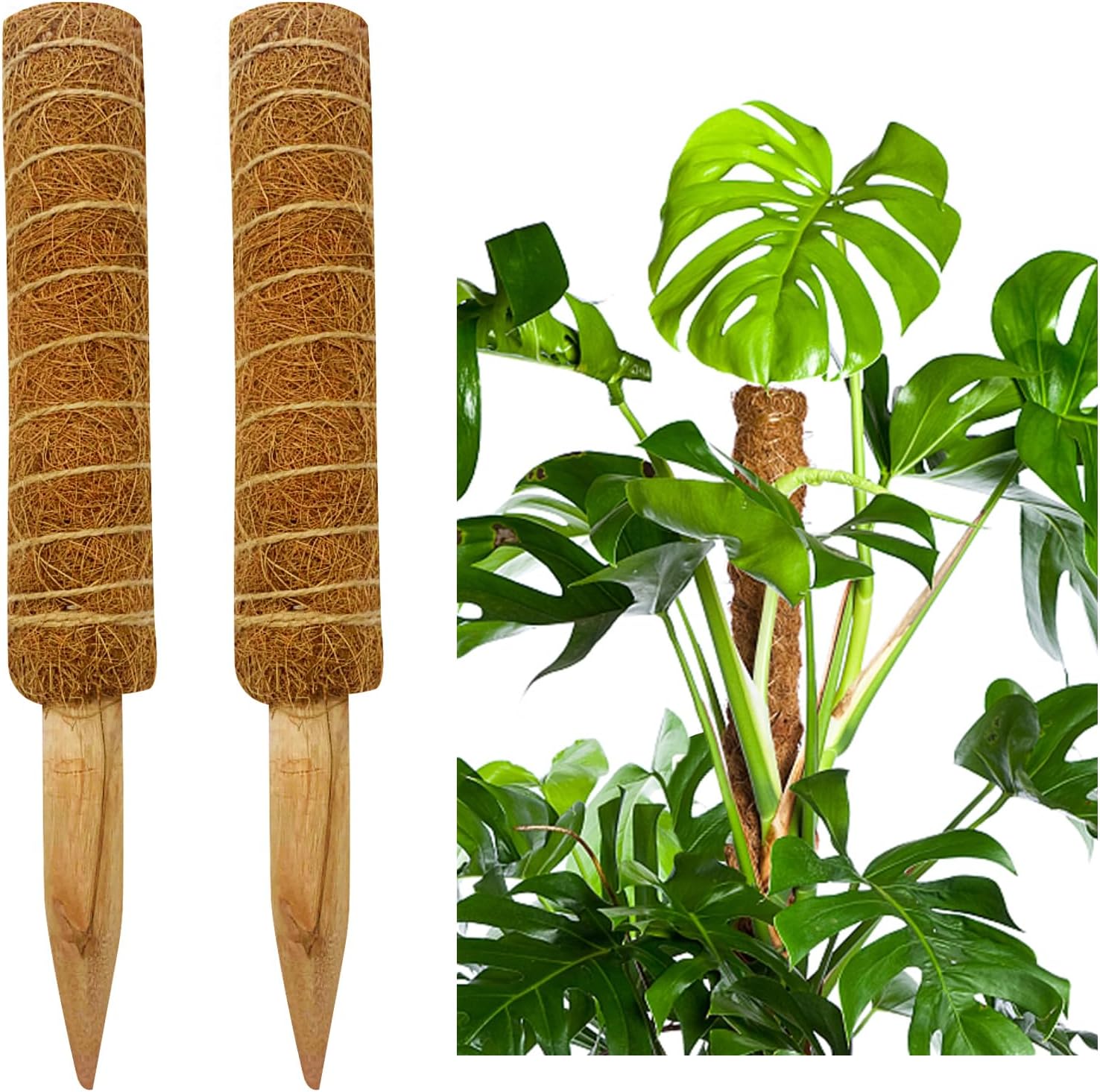 Bomvabe 2 Pack Moss Pole for Plants Monstera 21 Inch