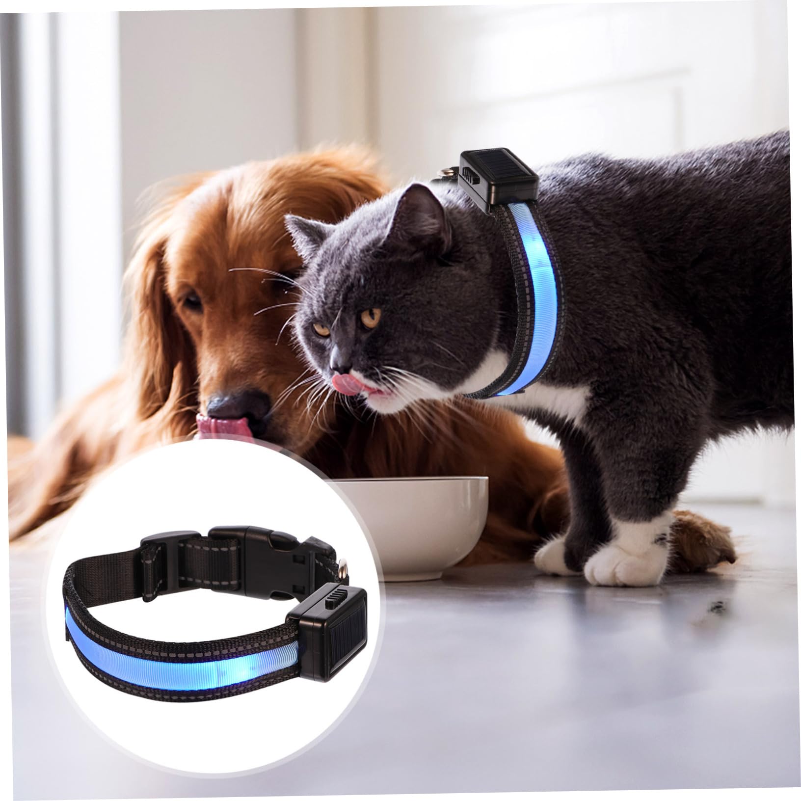 Housoutil 3juegos Collar Led para Perros Recargable por USB y Solar Acolchado y Resistente Visibilidad Alta para Paseos Nocturnos