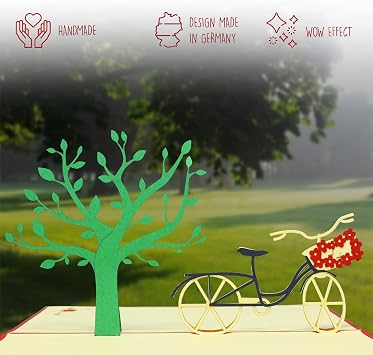 LINPOPUP Pop-Up card, pop up 3D card, birthday cards, greeting card, flowers bike N153