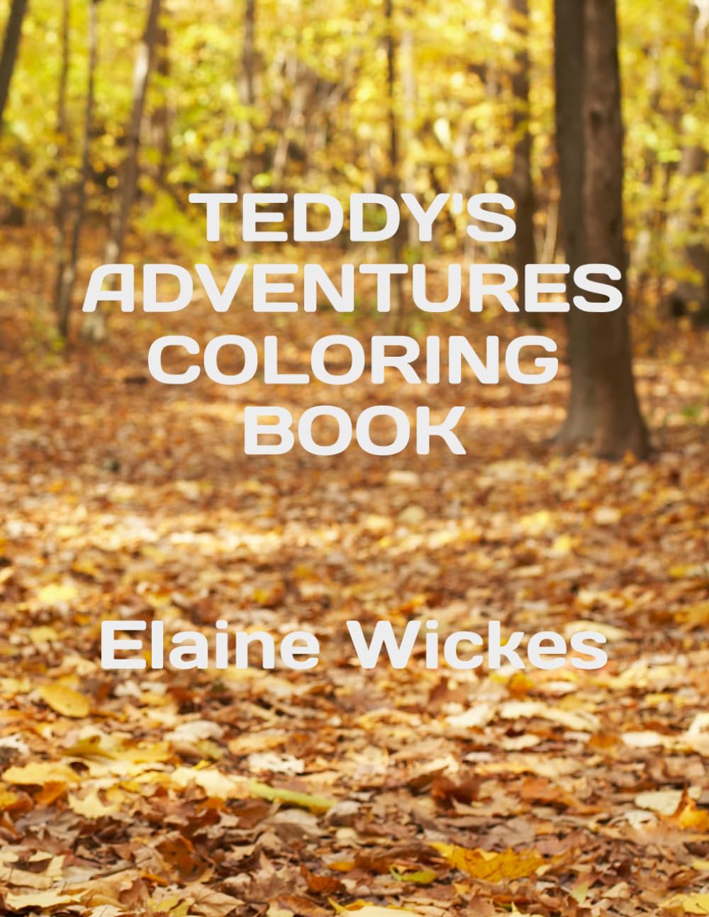 TEDDY'S ADVENTURES: BEARY COLORING BOOK (Teddy's Adventures Series)