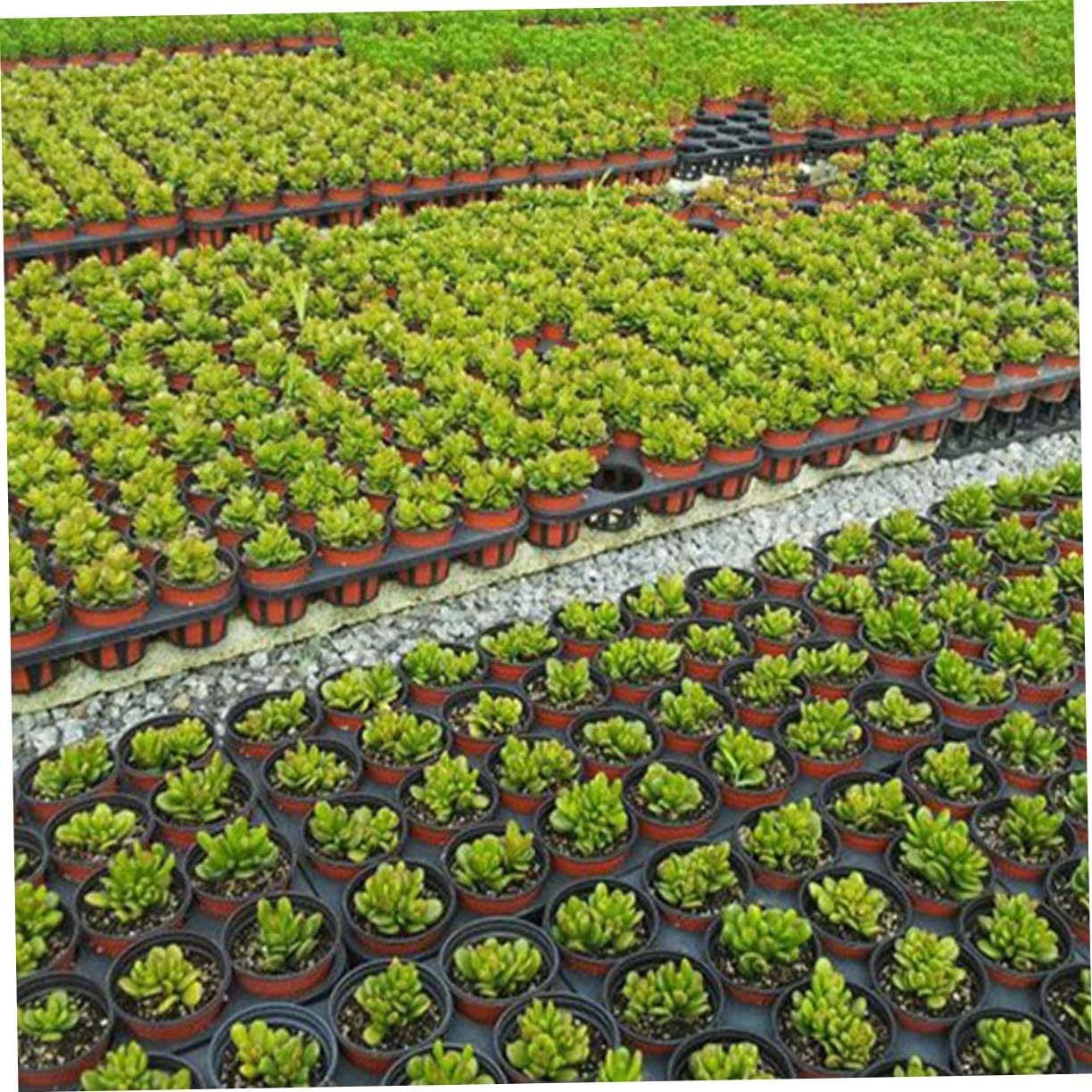 5pcs Thickened Round Plant Pot Racks Drainage Sturdy Nursery Tray Holders for Indoor Gardening for and Germination and Easy to Use