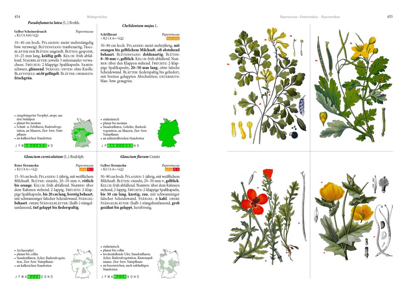 Die Flora von Deutschland. Alle heimischen Arten: Über 2.500 Pflanzen. Mit Bestimmungsschlüssel.