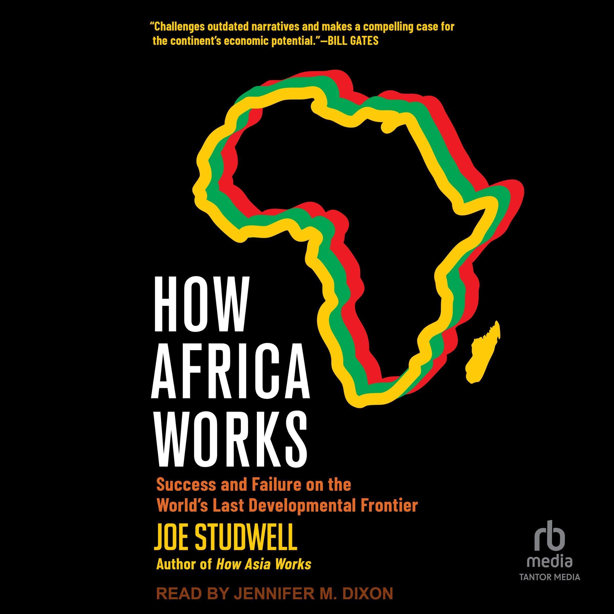 Cover art for How Africa Works