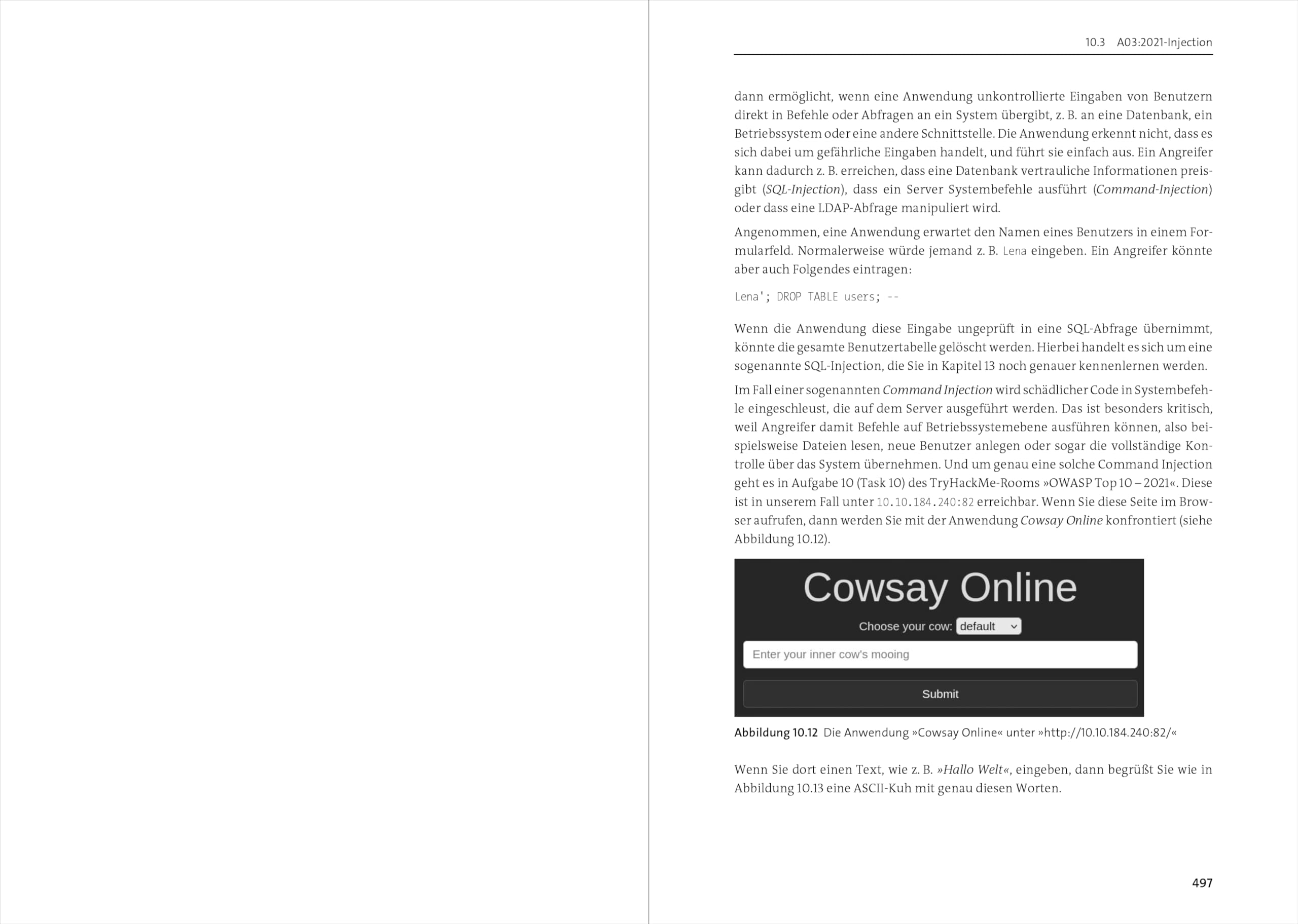 Ethical Hacking: Handbuch für White Hats und Pen-Tester mit Prüfungssimulator und Video-Lektionen
