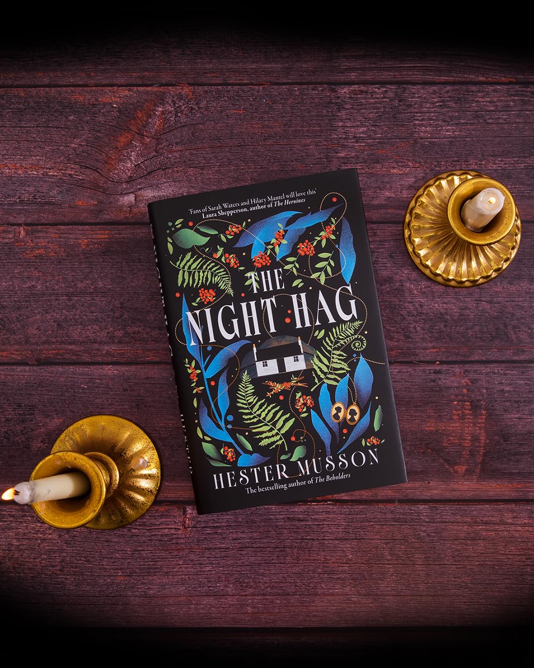 The Night Hag: The thrilling new historical mystery from the acclaimed, bestselling author of The Beholders