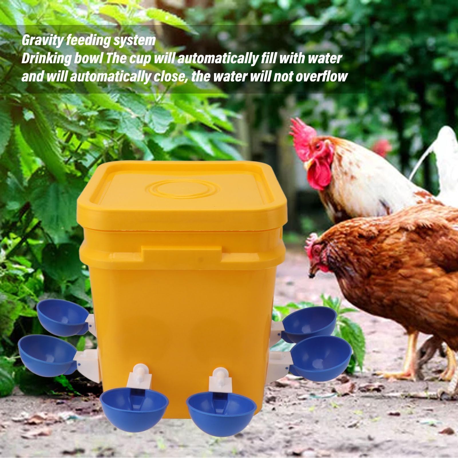 Abbeveratoio Automatico per Pollo Gallinella Fornisce Abbeveratoio per Pollo Mangiatoia e Abbeveratoio per Pollo da 12 Litri per Pollame (Secchio + grande ciotola blu + viti nere)