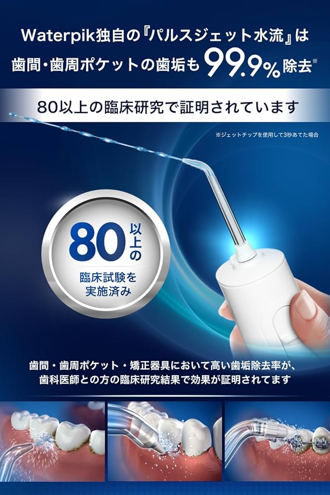 Waterpik ウォーターピック　据え置き型　WF11 WF-11 イオン
