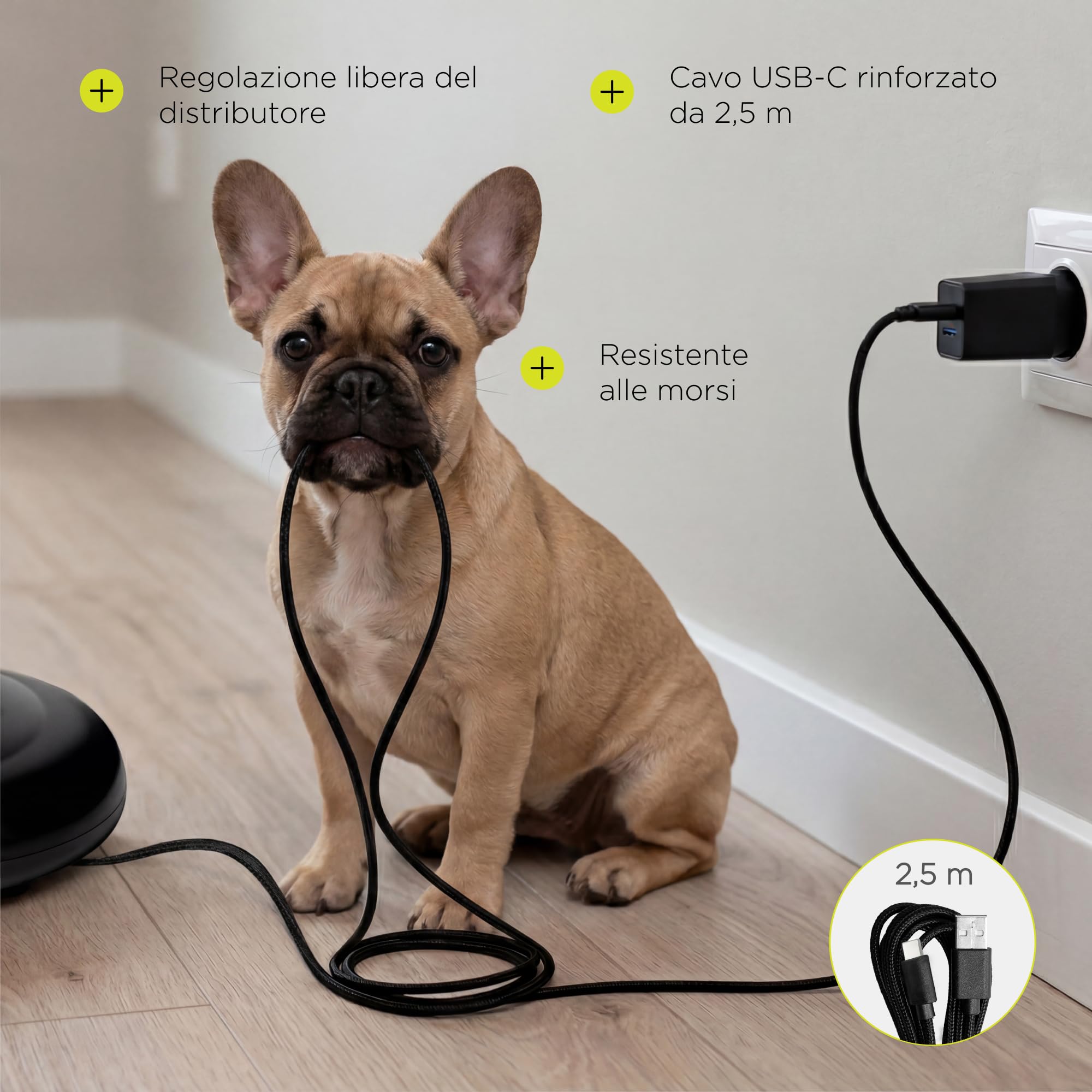 Nube Distributore automatico di cibo umido per cani con raffreddamento, ciotola in acciaio inox, controllo app, 6 scomparti da 150 ml, mangiatoia anti-jam, batteria 4000 mAh, USB-C (nero)