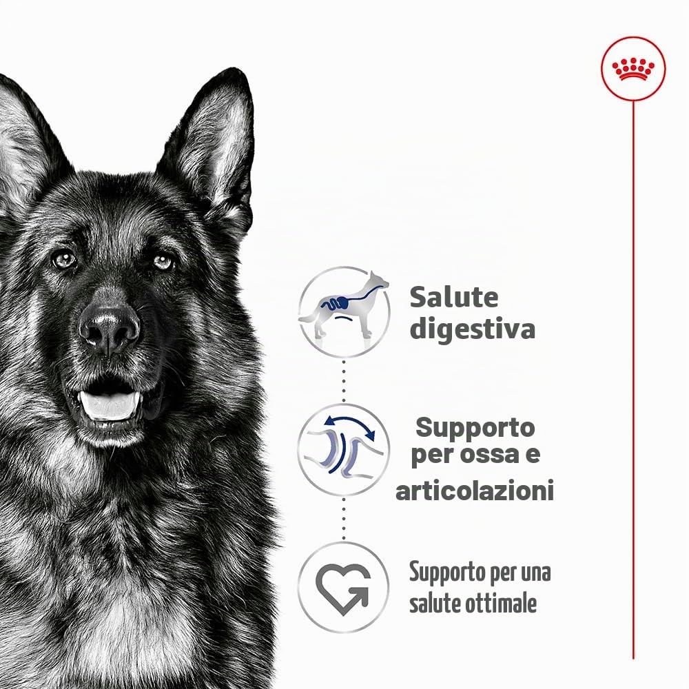 Royal Canin Maxi Adult | 12 x 410 g | Alimento completo per cani grandi adulti (26-44 kg) | Cibo umido ricco di nutrienti ed equilibrato con proteine altamente digeribili