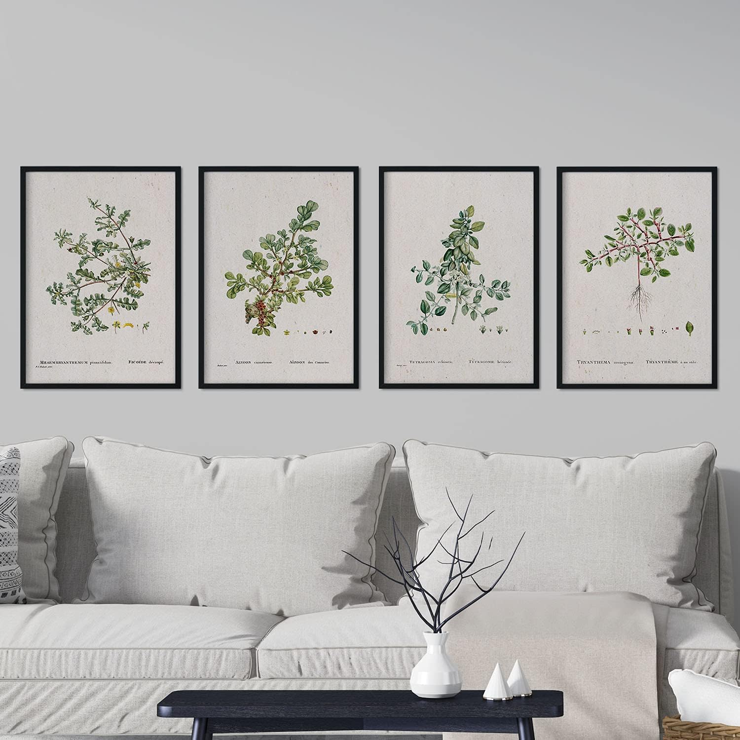 Nacnic Pack of sheets of sheets - Watercolour illustrations by French artist Pierre-Joseph Redouté - Home Decor - Size A3