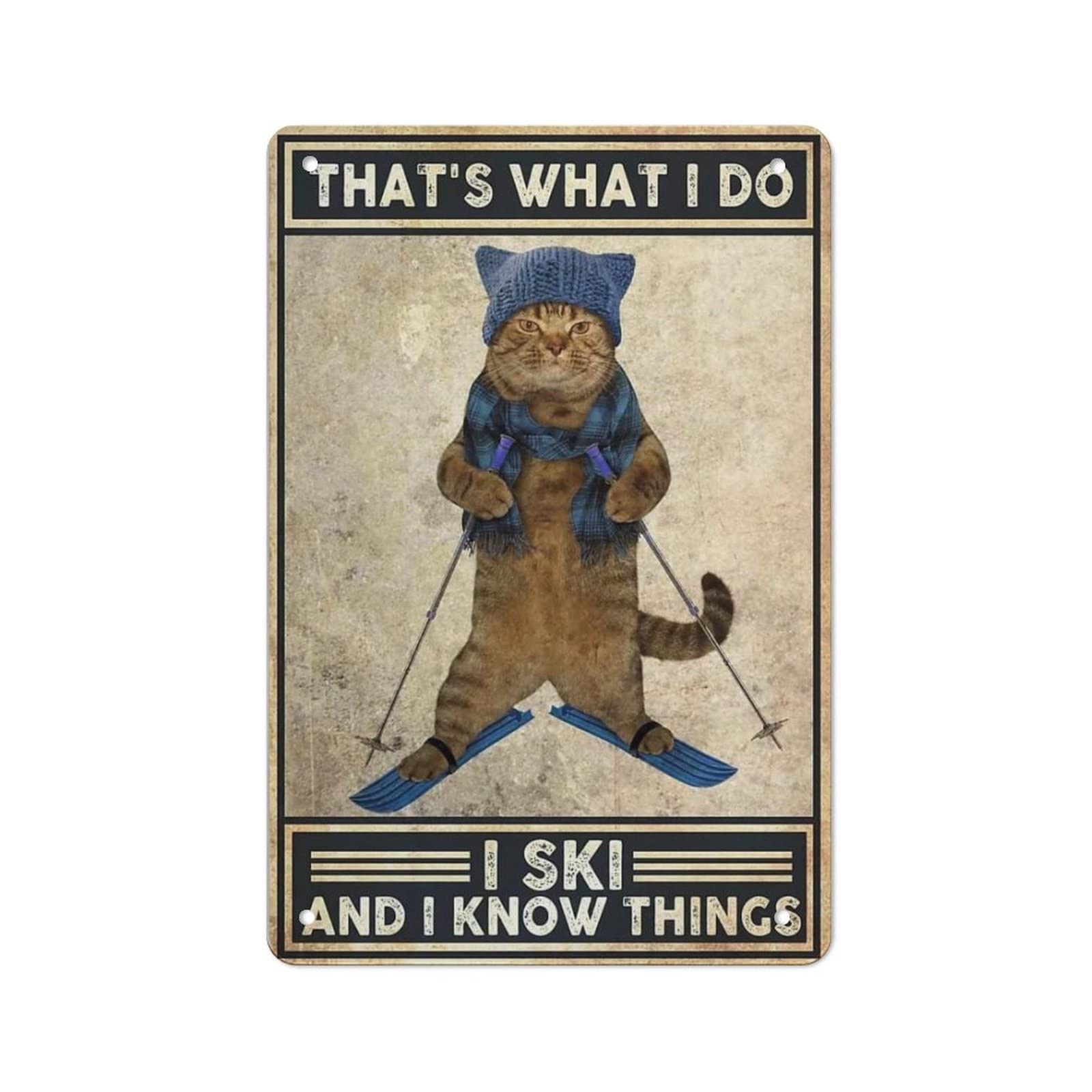 AOOEDM I Ski And I Know Things Metal Tin Sign for Home Bar Pub Kitchen Wall Art Deocr Man Cave Vintage Metal Sign Poster Plaque Signs Quotes Sign