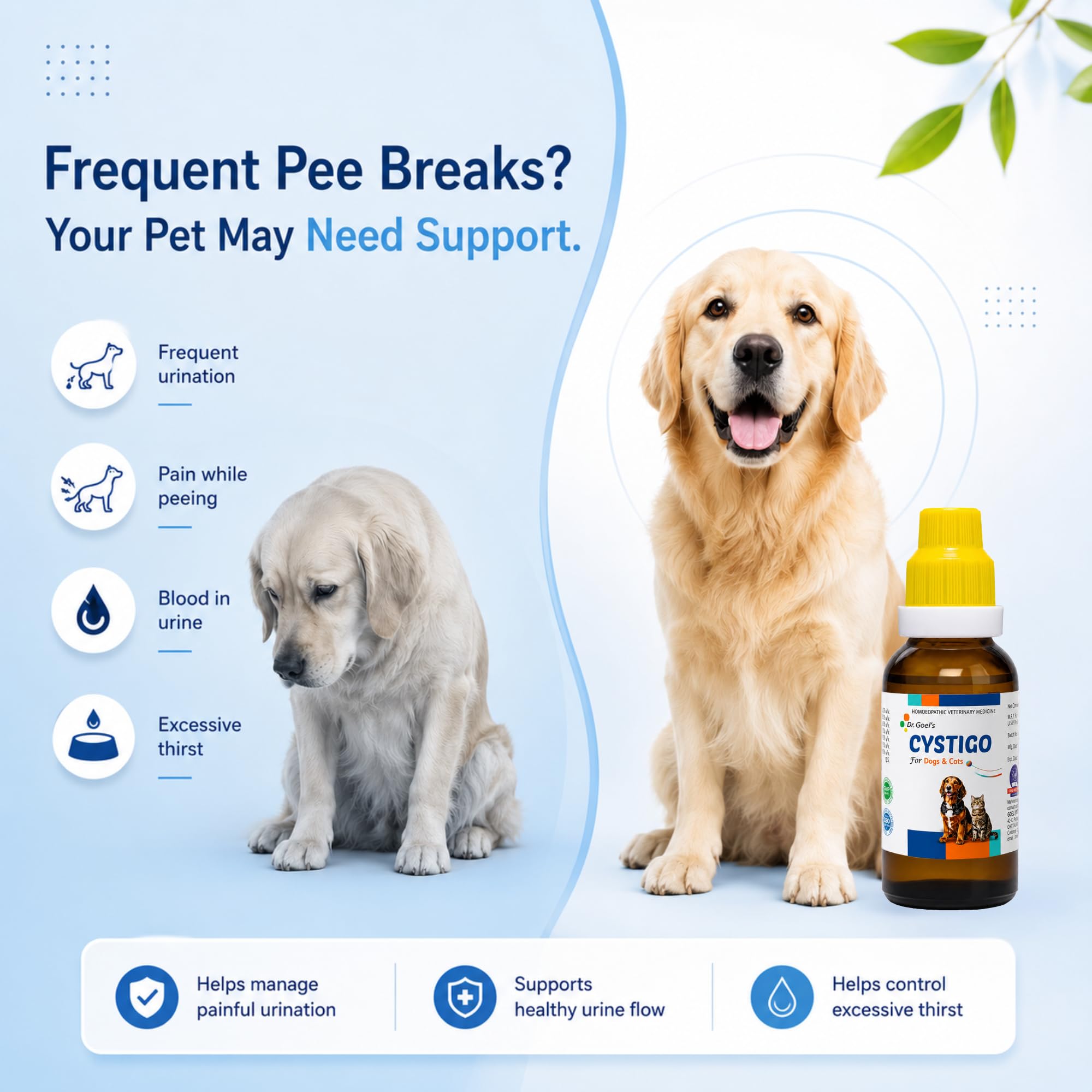 Dr. Goel's CYSTIGO Drops for Dogs & Cats | Homeopathic Urinary Health Support | Pet Bladder & Urinary Tract Wellness Formula | Supports Healthy Urine Flow & Daily Urinary Comfort | Easy Oral Drops — Amazon image 2