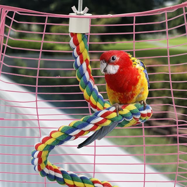 Foto 4 de 7 de Perchas para Pajaros Cuerda de Loro 80cm Percas para Agapornis/Periquitos/NINFA