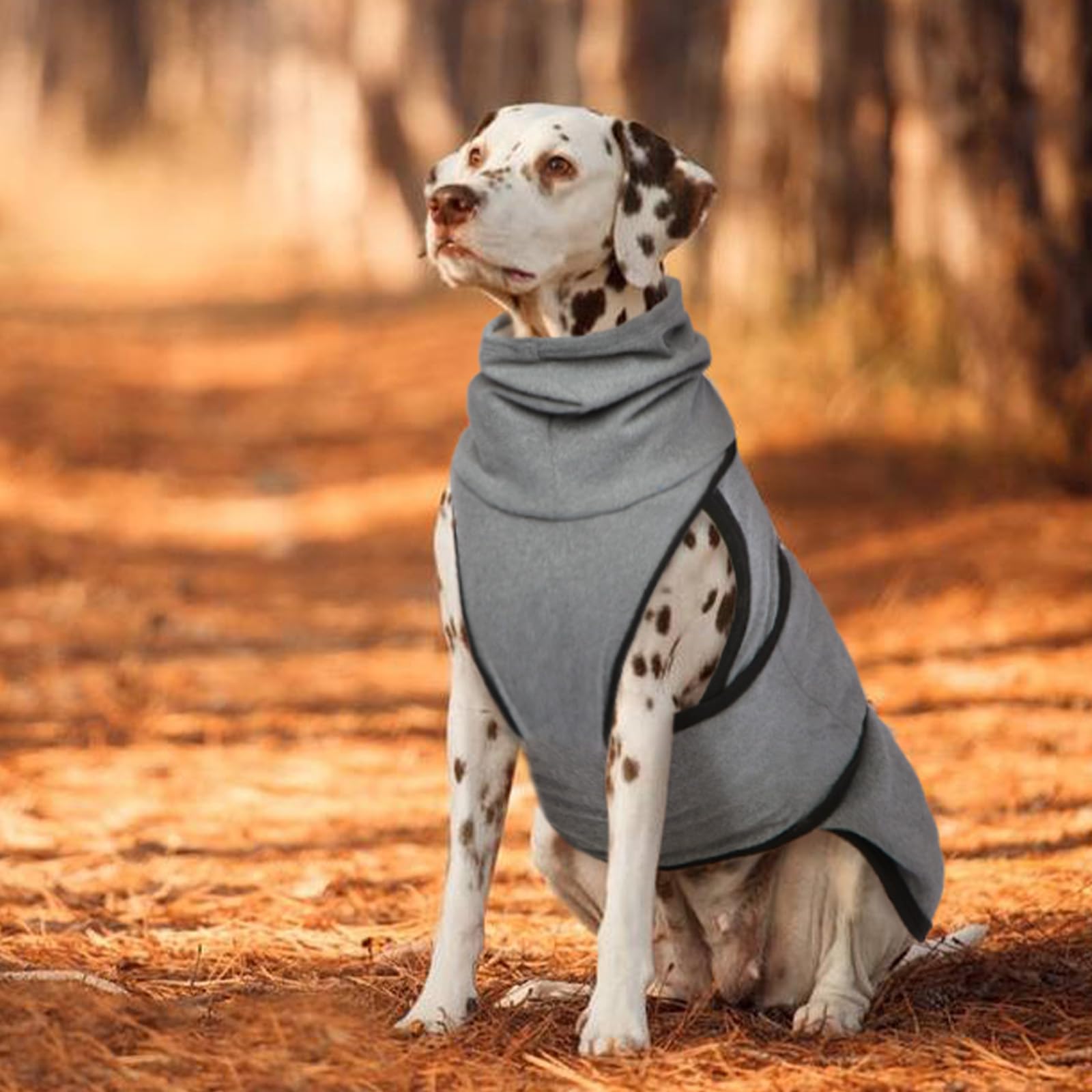 Chaquetas Antiestrés para Perros, Chaleco Relajante para Perros, Chaleco Anti-Ansiedad para Perros con Capucha Calmante, Jersey para Perros Pequeños, Medianos y Grandes, Abrigo Perro