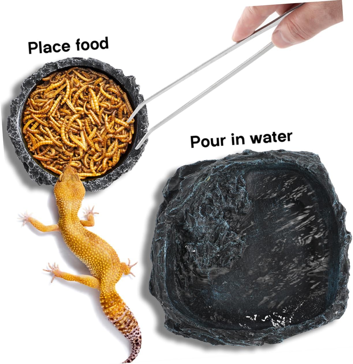 1set Reptile Feeding Bowls Includes Tortoise Water Dish Crab Dish Bearded Dragon Food Bowl and Feeding Tongs for Terrarium Care