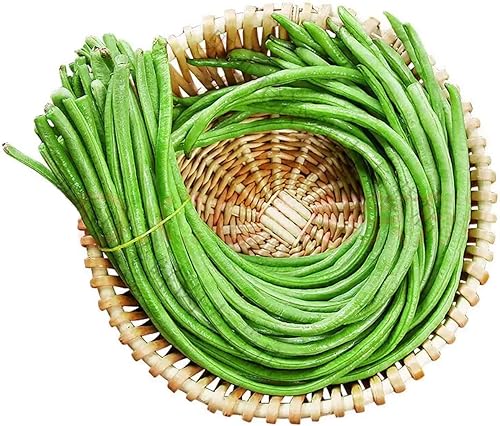 Miniatura 5 de Más de 100 semillas de serpiente oriental yarda larga espárragos para plantar frijoles fideos rojos y verdes, semillas de verduras deliciosas sin