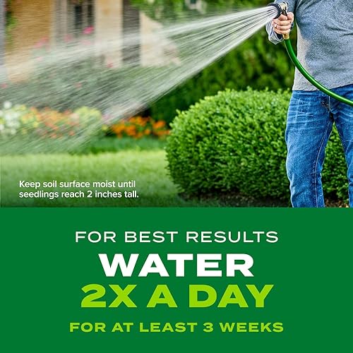 Miniatura 5 de Scotts Turf Builder Rapid Grass Bermudagrass, combinación de semillas y fertilizantes, crece hierba verde rápidamente, 8 libras.