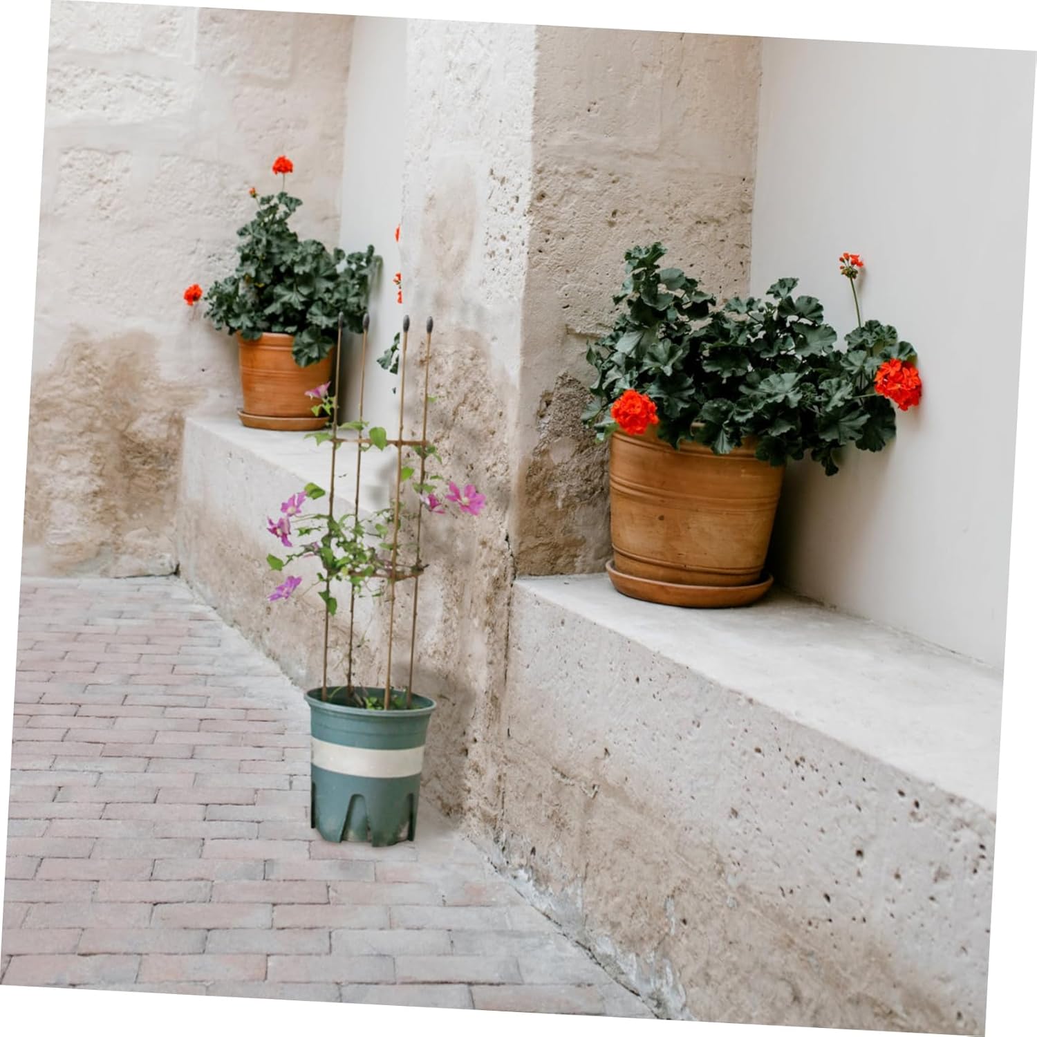 Generic Bamboo Flower Climbing Frame for Garden Support 1 Set Plant Climbing Trellis for Vines and Roses Sturdy Simulation Bamboo Design Easy Installation