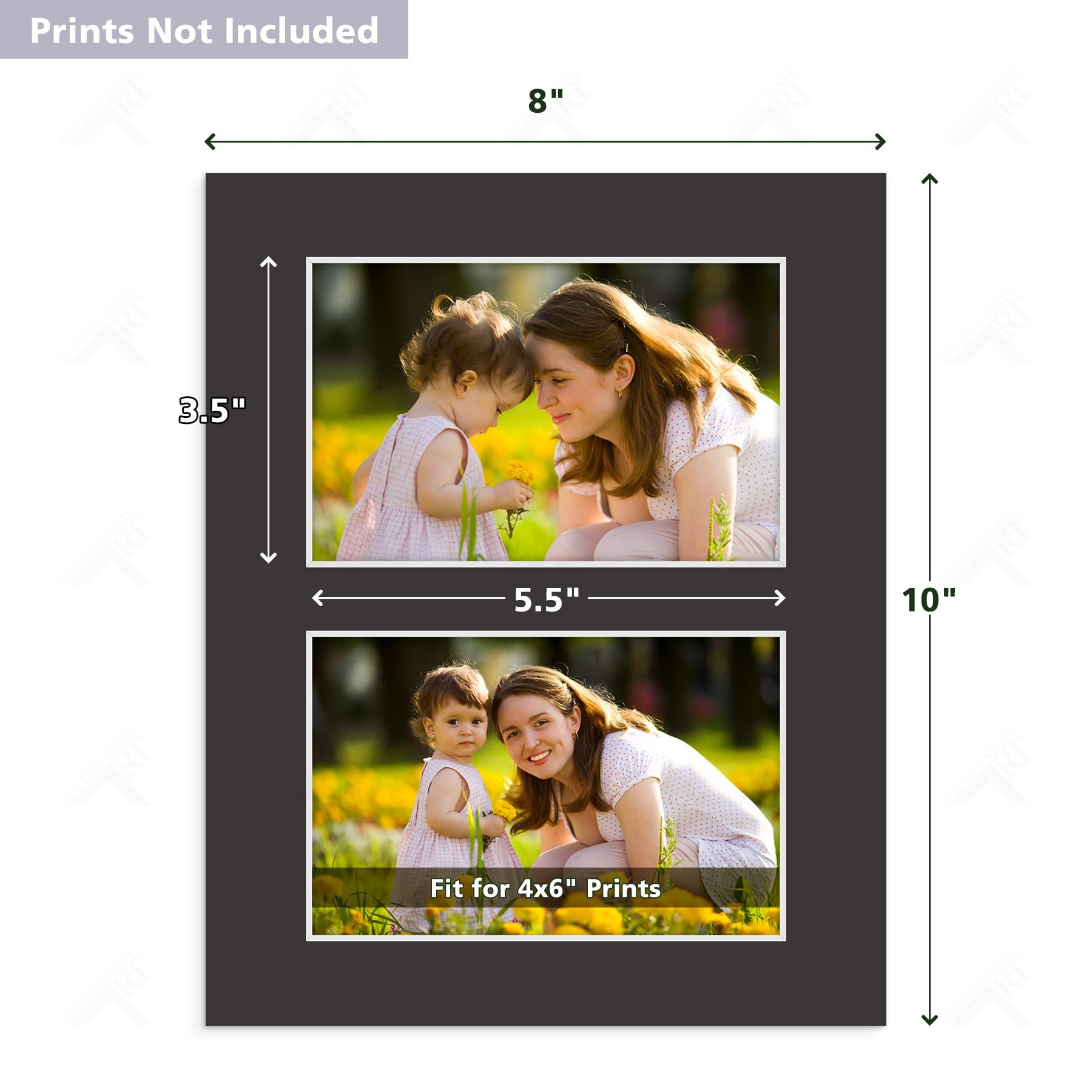 Golden State Art 10 Pack - Black 8x10 Photo Mats For Two 4x6 Pictures | Acid-Free, Bevel Cut Display