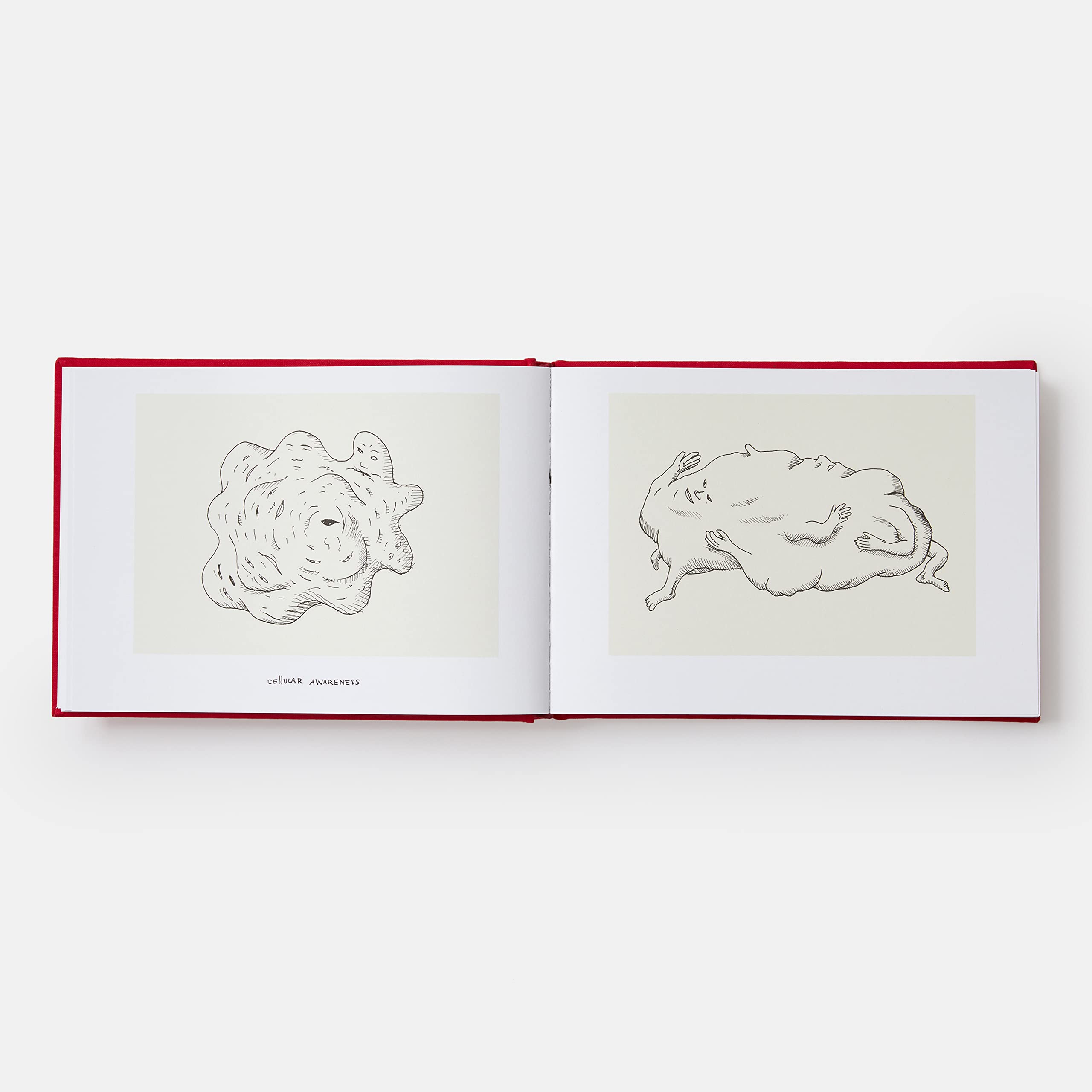 A history of the world (in dingbats): Drawings & Words