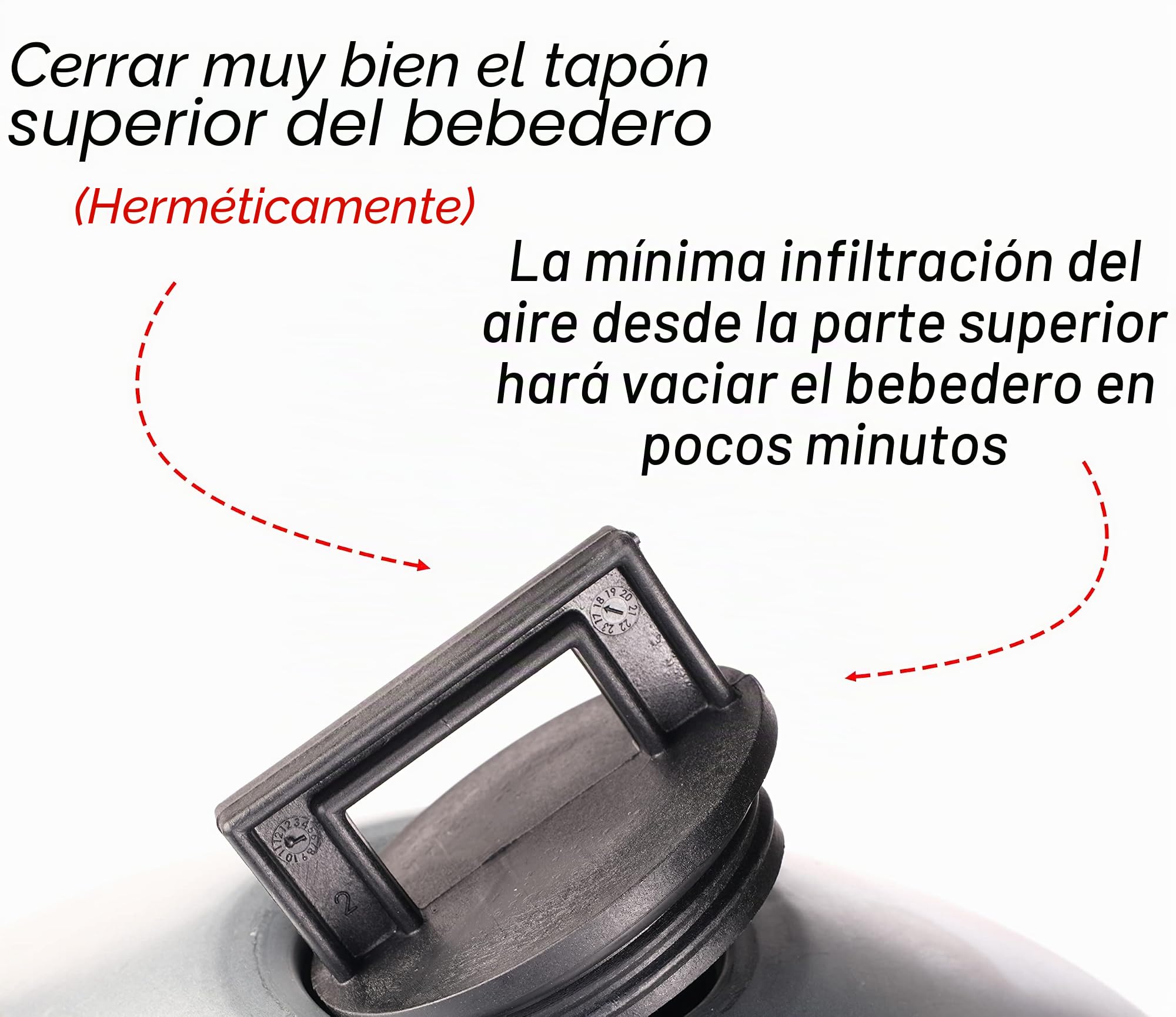 Bebedero para gallinas, Pollos, Patos, Gansos, automático de Chapa galvanizada con depósito de 22 litros, fácil de Rellenar, Mover y Limpiar, Fabricado en Italia
