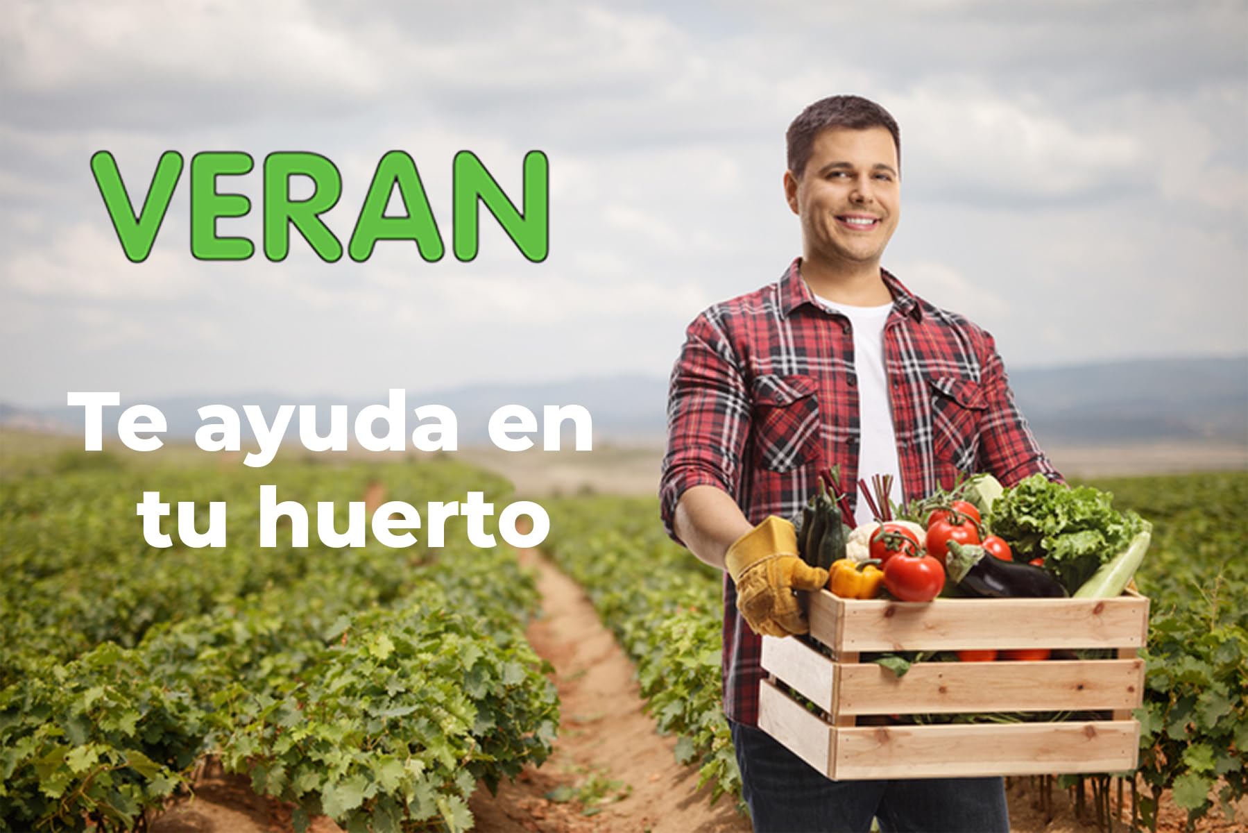 VERAN Quelatos de Hierro 200g | Aporte de Hierro Biocompatible para Plantas | Reverdeciente de Plantas Terrestres y de Acuario | Abono Quelato de Hierro Contra la Clorosis Férrica 100% Soluble en Agua