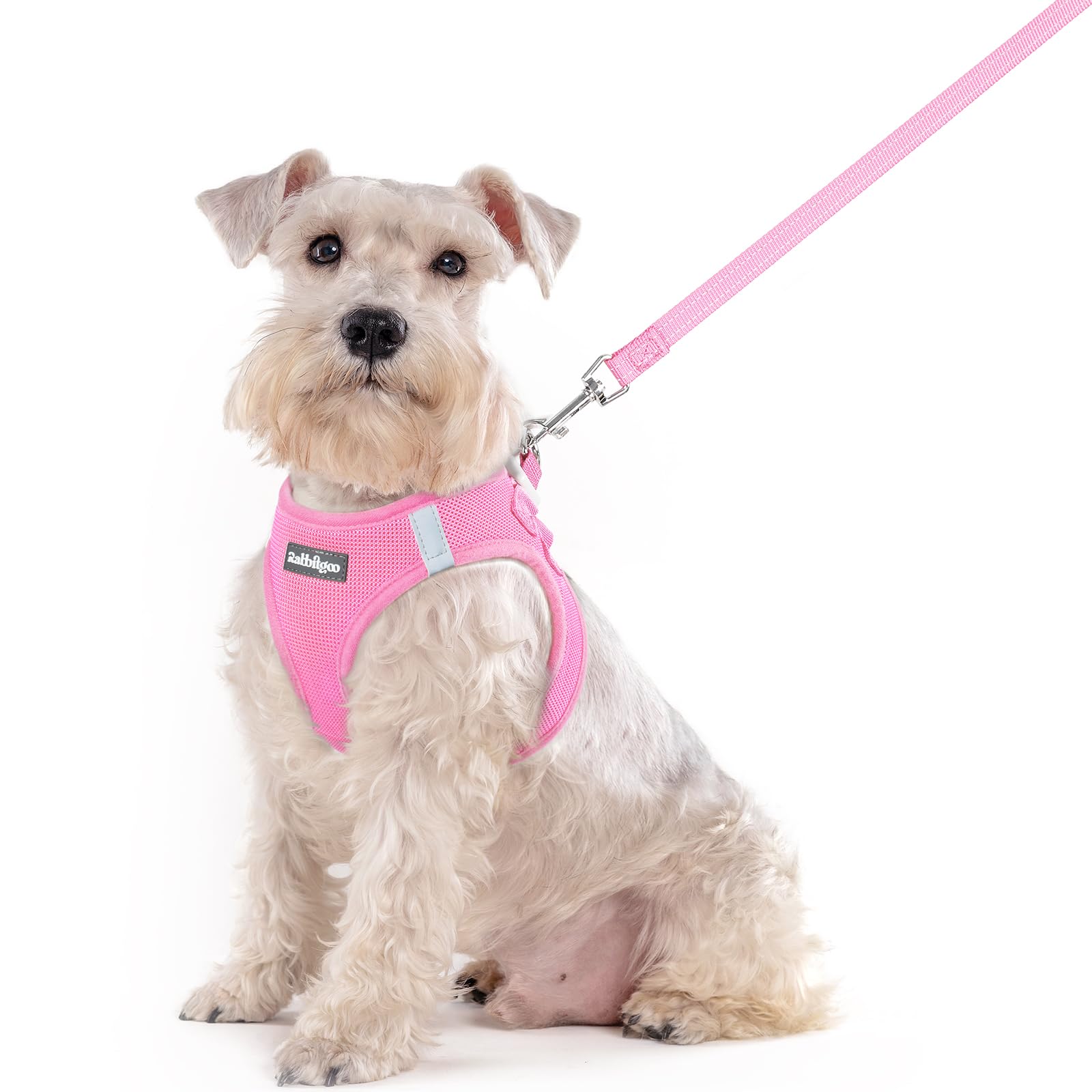 rabbitgoo Dog Harness Medium Sized and Leash Set, Step-in Puppy Pet Vest