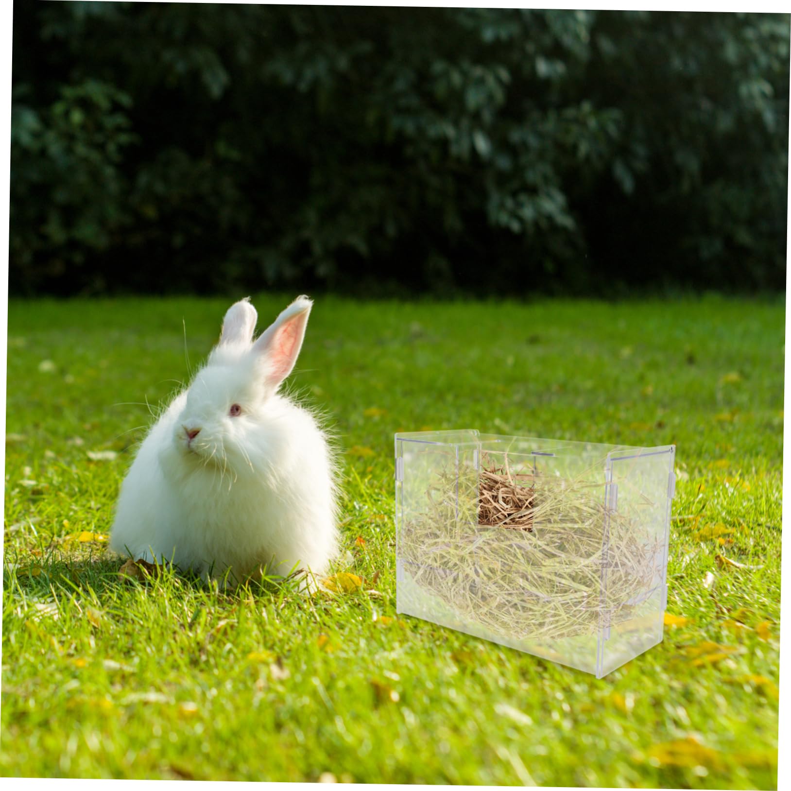 Râtelier à Foin en Acrylique pour Lapins, Grosse Capacité