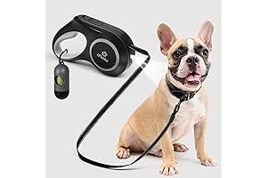 Rechargeable Lighted Dog Leash for Night Walking: Stay Safe and Illuminate Your Walks