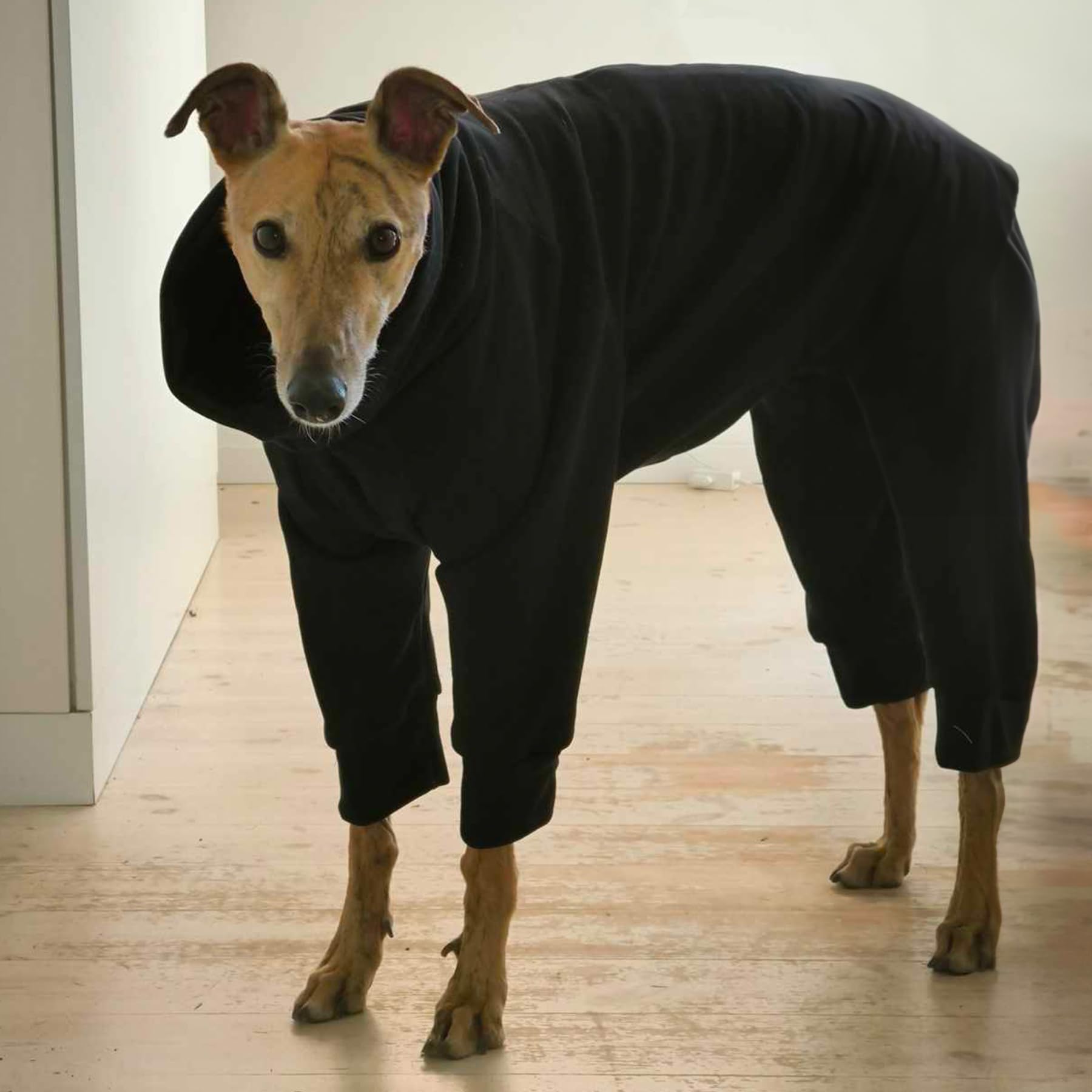 EDEL&SCHNELL Hundepullover warm, Hundemantel aus Baumwolle, Overall für Hunde Größe 65-70, Schwarz mit langem Kragen und Beinen