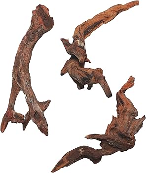 Amazon | アクアリウム・コケリウム用 ミニ流木3本セット【AQUASHOP