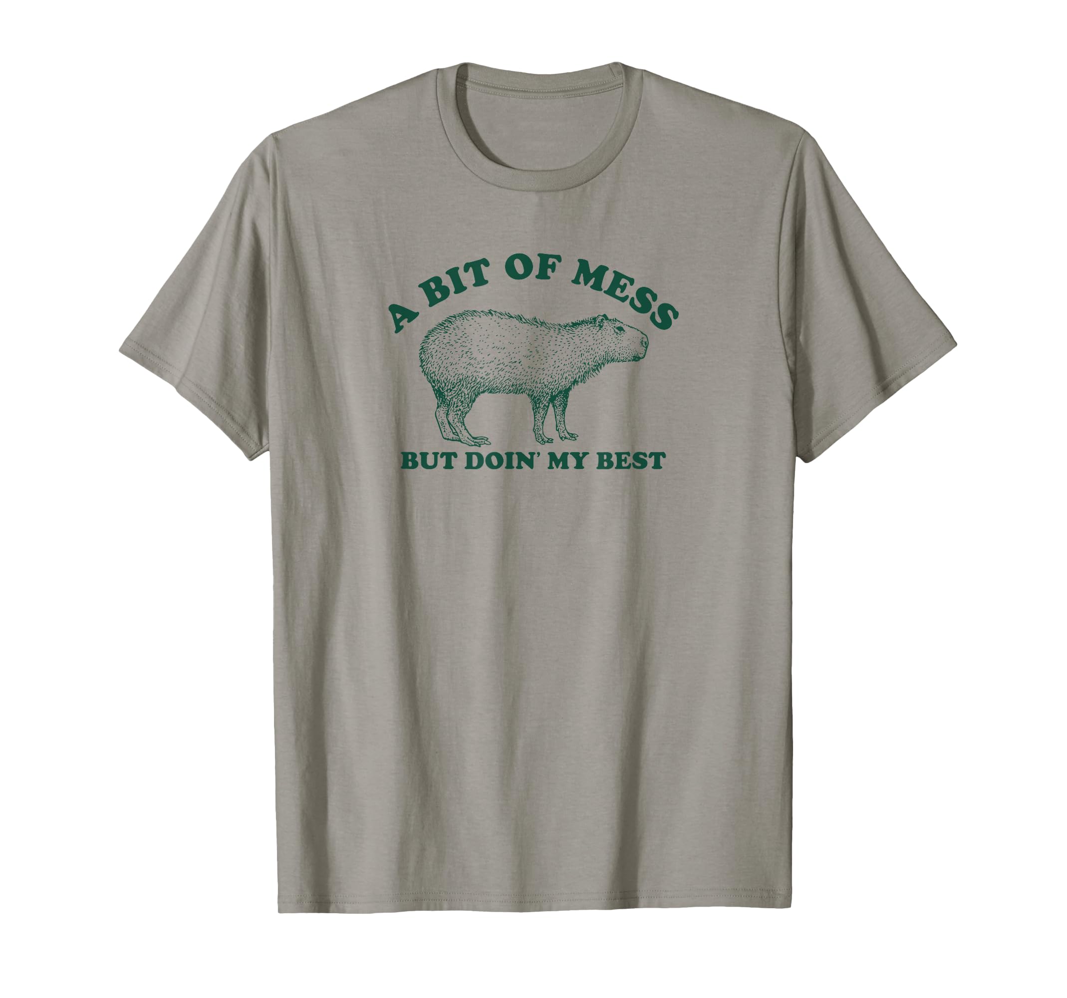 Funny Bit of A Mess Capybara Meme Graphic for Women T-Shirt