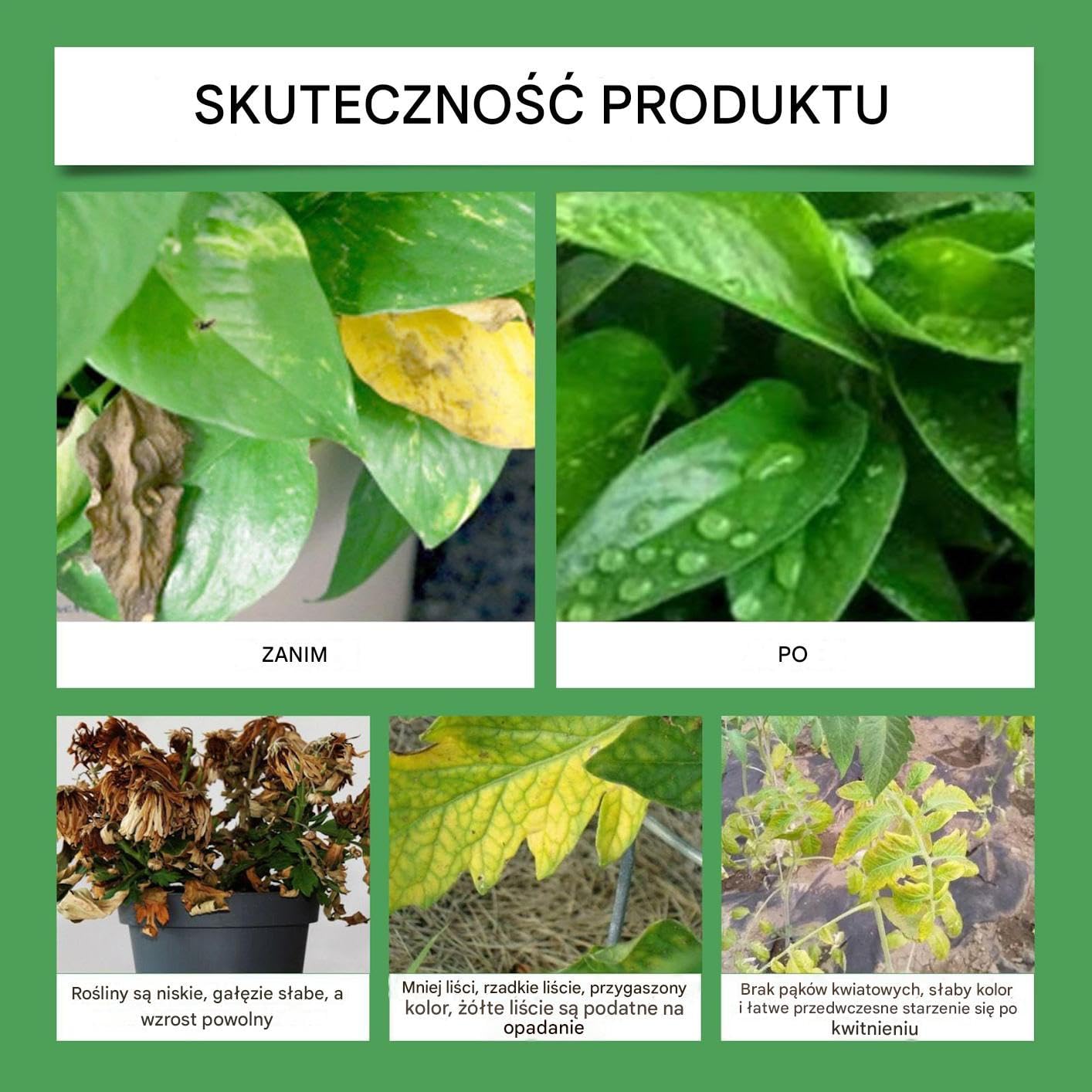 Plant Fertilizer, All Purpose Plant Food, 1.88x3.85 inch Safe Nutrient Solution, Efficient Growth Enhancer, Natural Floral Food for Garden, Lawn Care, Hydroponic Use