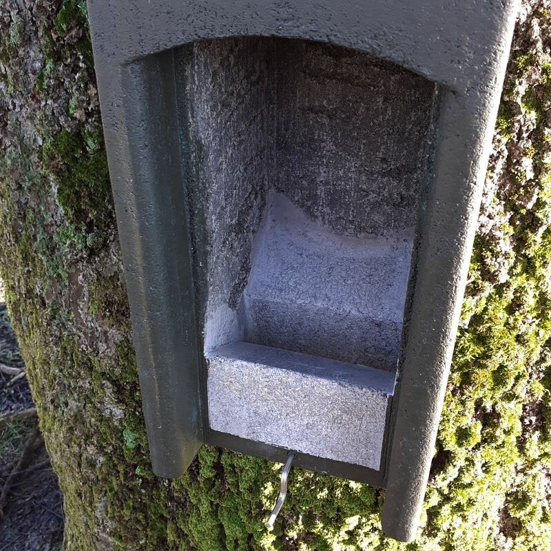 Fledermaus-Kuppelhöhlel aus Holzbeton - Sommerkasten für Fledermäuse - Winternisthöhle für Fledermäuse - Winterquartier - Sommerquartier
