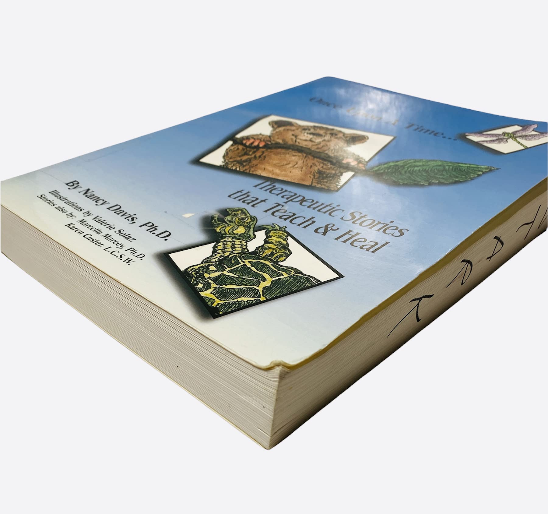 Once upon a Time: Therapeutic Stories That Teach and Heal - Image 5